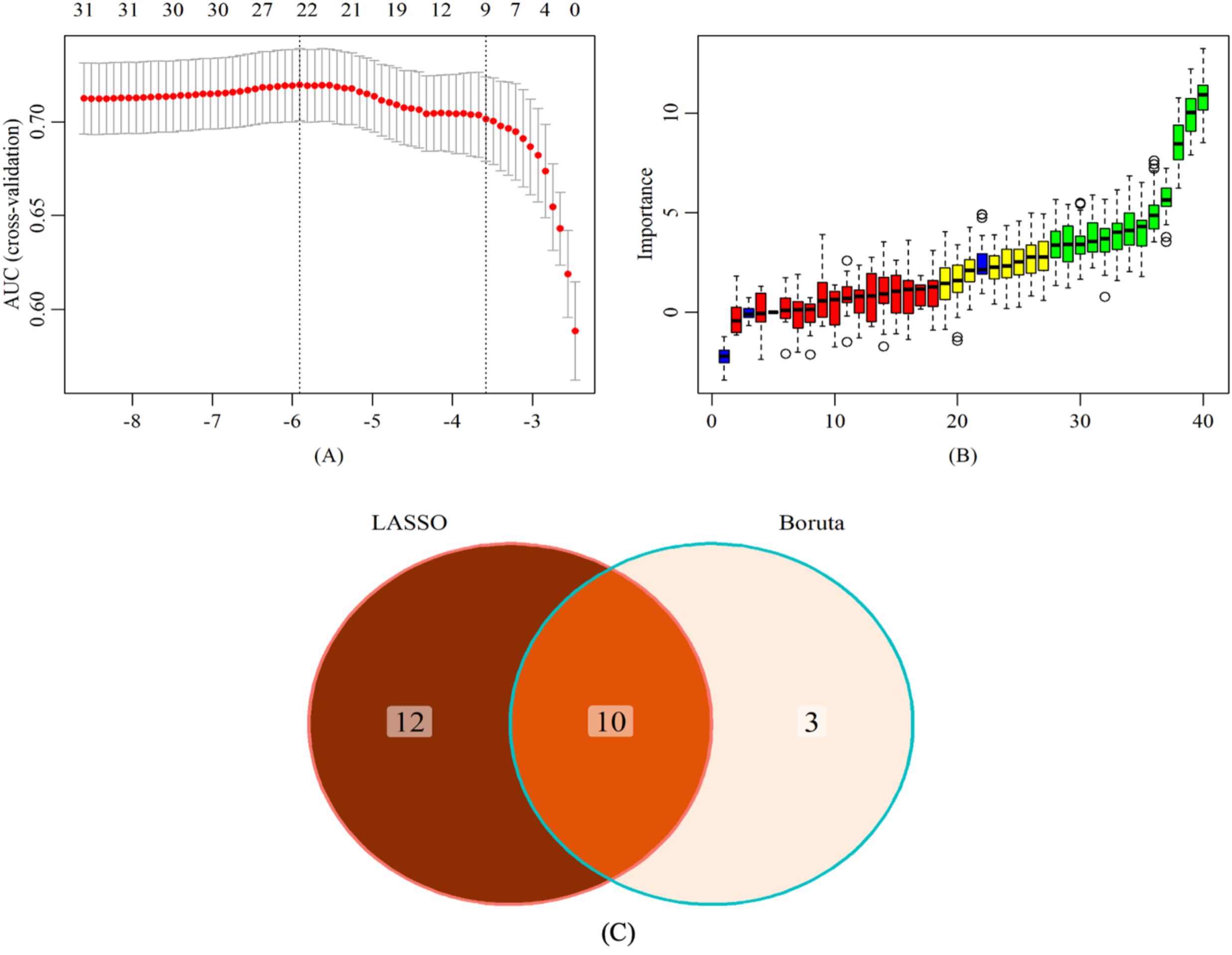 (A) A line graph shows AUC cross-validation results for a model with varying parameter values, peaking around -6. (B) A box plot displays variable importance scores, ranging from low (red) to high (green). (C) A Venn diagram compares LASSO and Boruta feature selections, with 12 unique to LASSO, 3 unique to Boruta, and 10 shared.