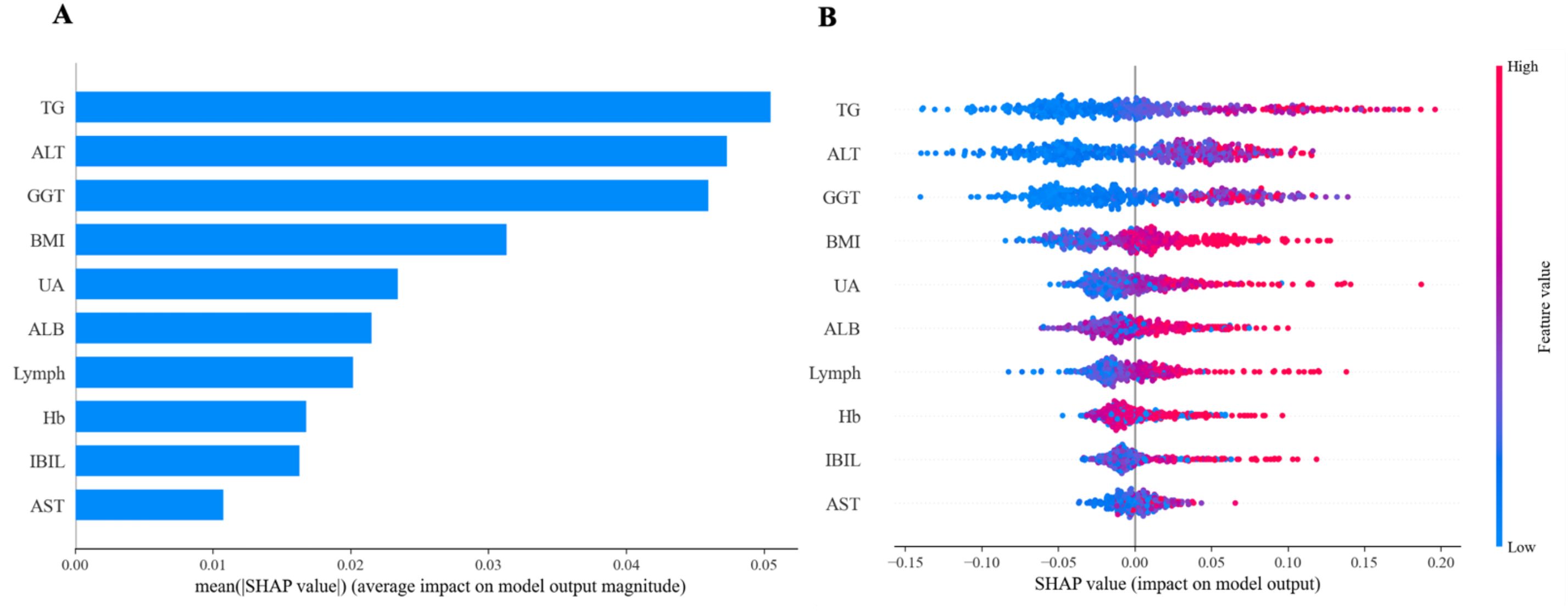 Bar and dot plots illustrate SHAP values analyzing feature impact on model output. Plot A ranks features like TG, ALT, and GGT by average SHAP value. Plot B shows SHAP value distribution, color-coded by feature value from low (blue) to high (red).