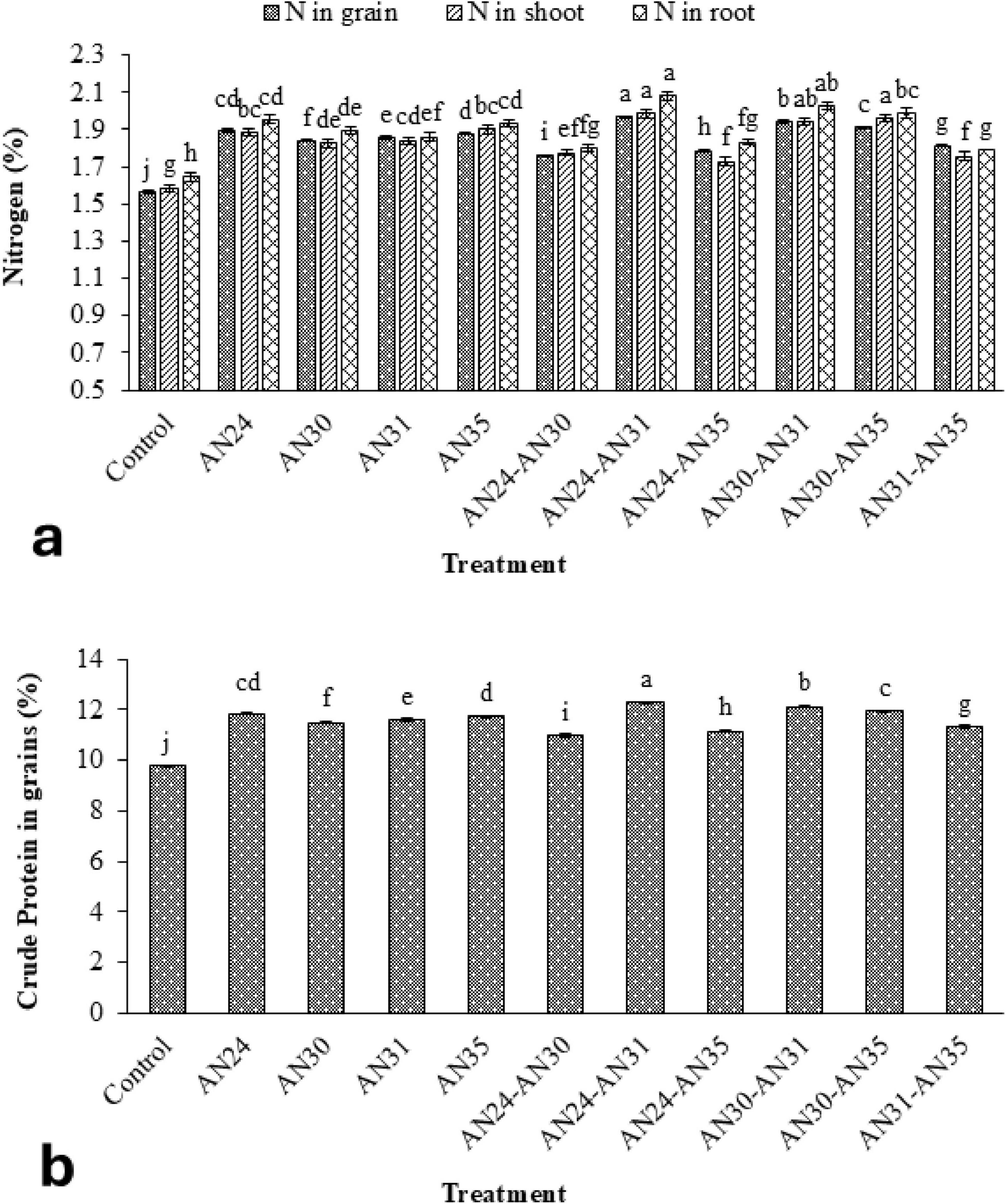 Bar charts labeled “a” and “b” show nitrogen and crude protein percentages under various treatments. Chart “a” depicts nitrogen levels in grain, shoot, and root. Chart “b” shows crude protein in grains across treatments. Bars are annotated with letters to indicate statistical significance.