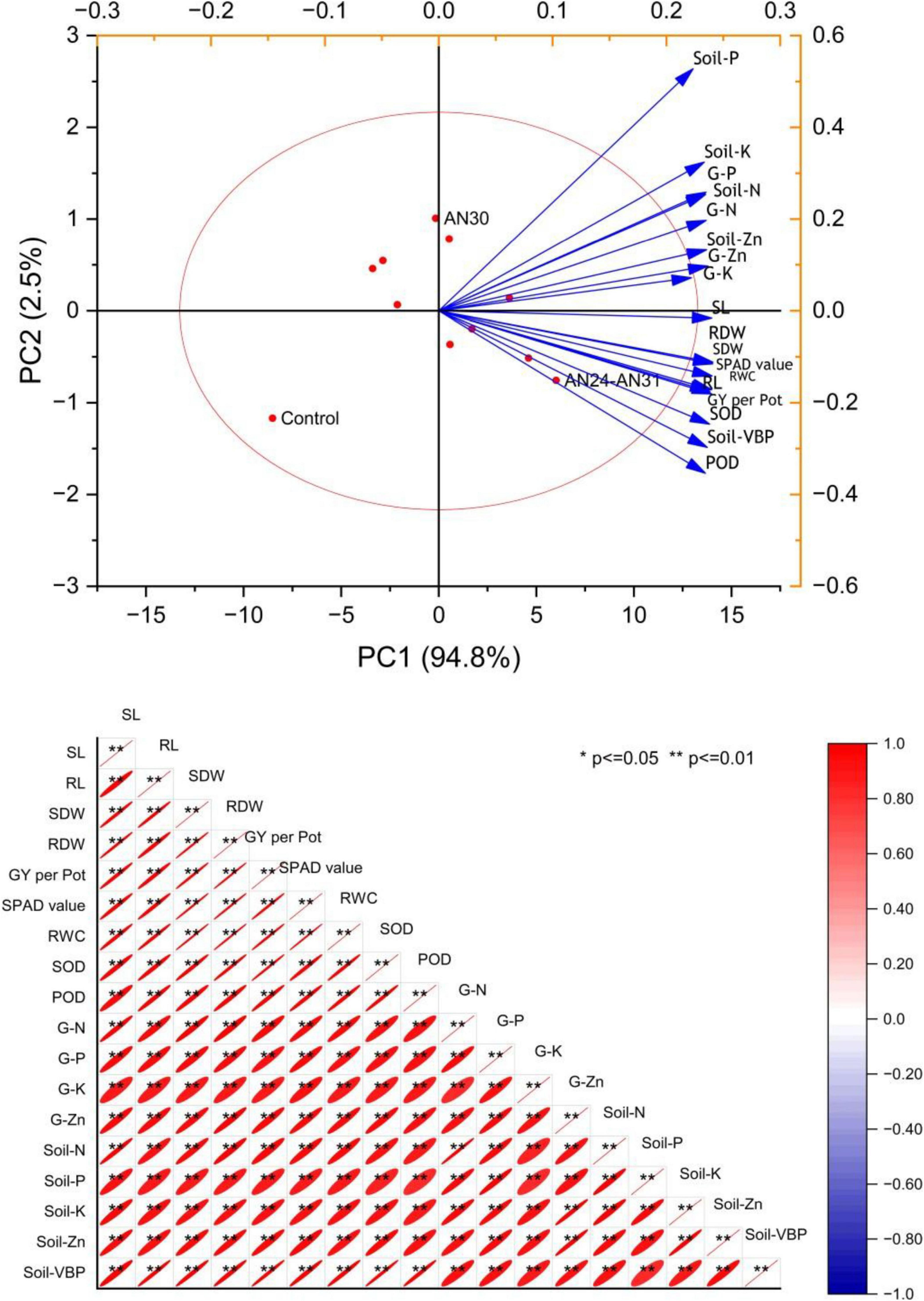 Biplot and correlogram depicting relationships between multiple variables. The biplot shows principal components PC1 (94.8%) and PC2 (2.5%) with variables like Soil-P, G-K, and POD, and several control points. The correlogram beneath displays correlation coefficients among variables such as SL, RL, GY per Pot, with significance levels indicated by asterisks. A color gradient bar representing correlation strength is on the right.