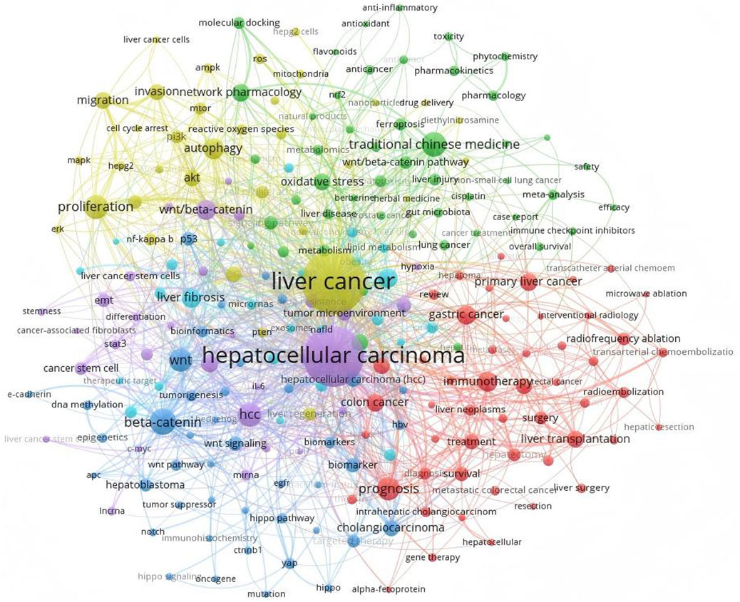 Network diagram showing connections between various terms related to liver cancer. Key clusters include central terms like