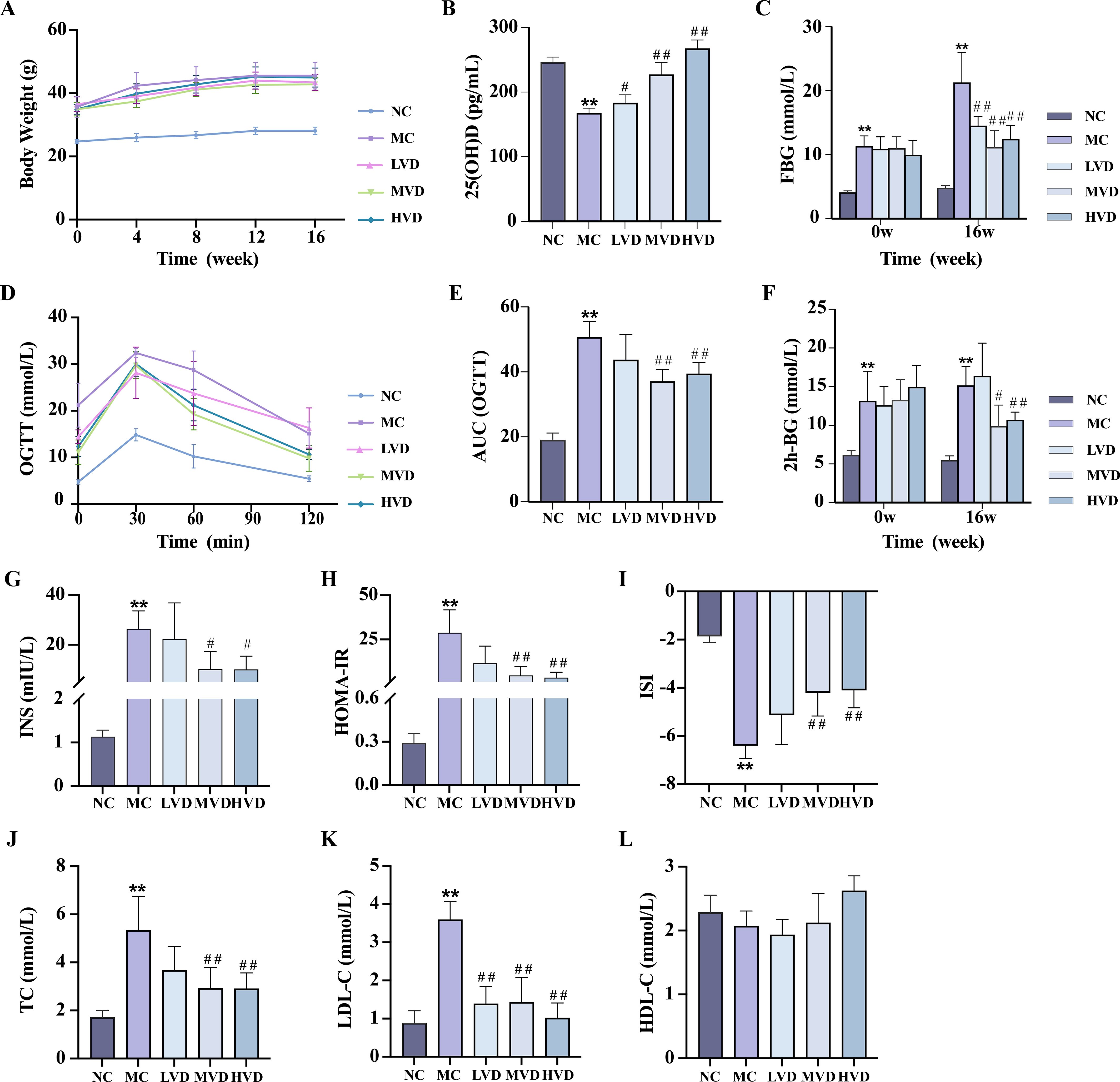 Graphs show various health metrics over time for different groups labeled NC, MC, LVD, MVD, and HVD. Graph A illustrates body weight trends; B shows 25(OH)D levels; C, fasting blood glucose; D, oral glucose tolerance test; E, area under the curve for OGTT; F, two-hour blood glucose; G, insulin; H, HOMA-IR; I, insulin sensitivity index; J, total cholesterol; K, LDL-C; L, HDL-C. Numerical differences are marked, emphasizing statistical significance using symbols (** and #).