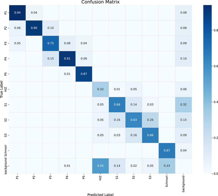 Confusion matrix showing predicted vs. true labels for classes P1 to background. Darker blue indicates higher accuracy, with diagonal elements showing correct classifications. P1 to P5 have high accuracy, while background and Schmorl elements show lower precision.