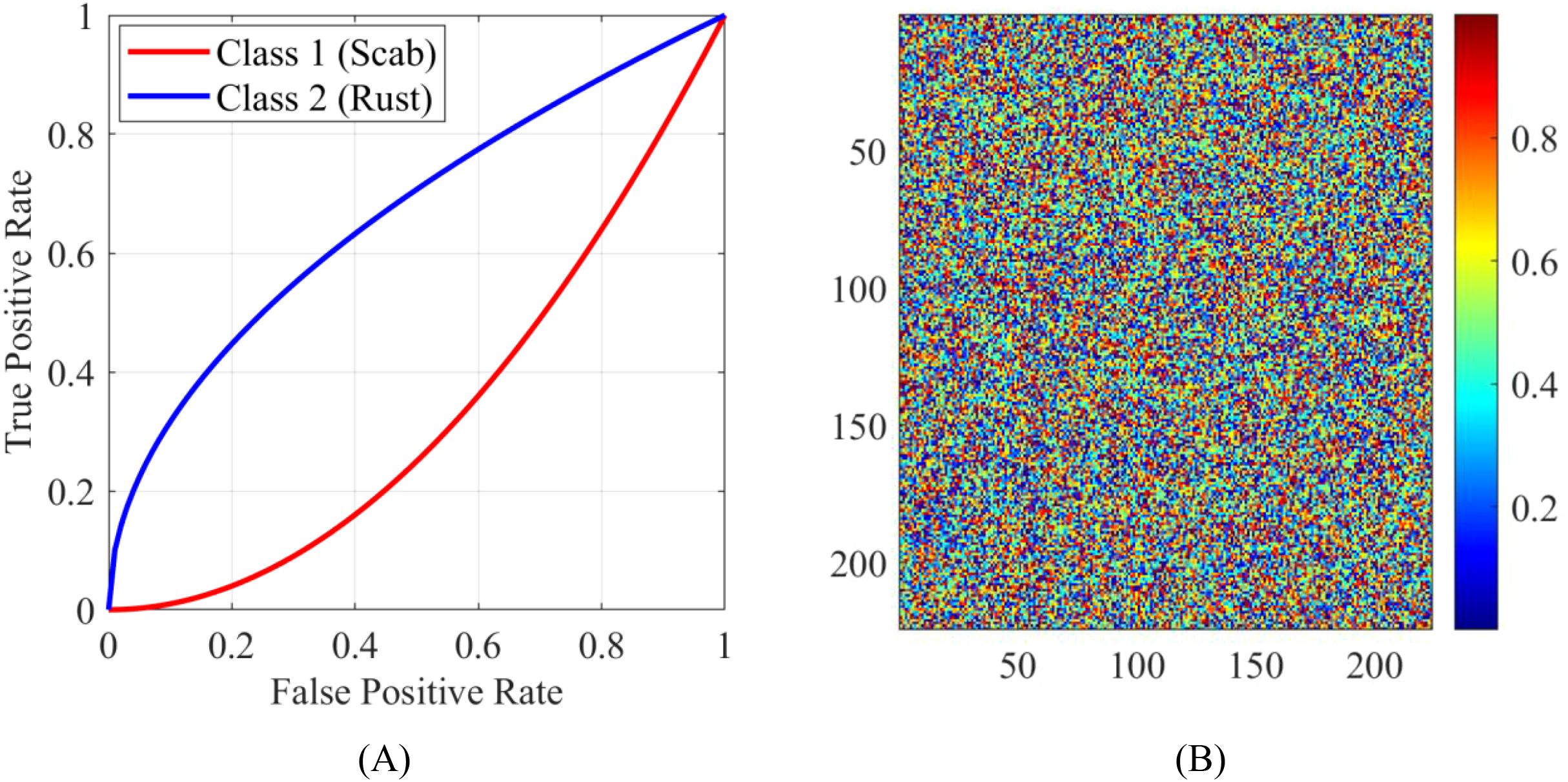 Panel A shows an ROC curve with a red line for Class 1 (Scab) and a blue line for Class 2 (Rust), indicating true positive and false positive rates. Panel B displays a colorful matrix plot with a color scale from blue to red, representing values from 0.2 to 0.8.