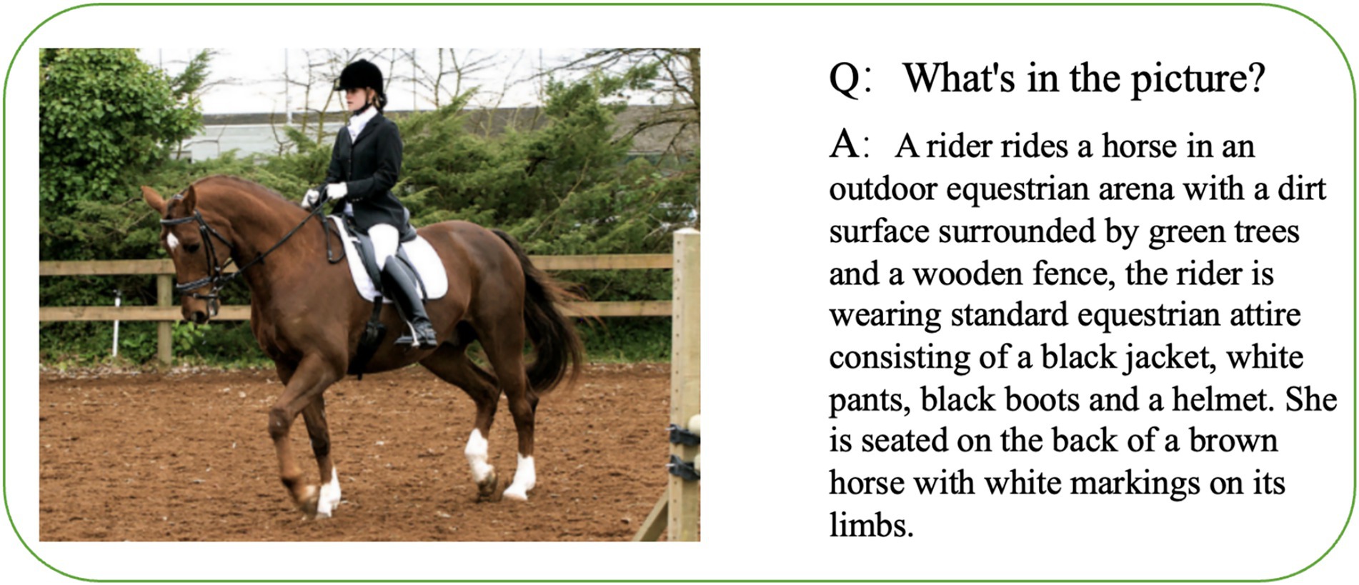 A rider in equestrian attire, including a black jacket, white pants, black boots, and a helmet, rides a brown horse with white markings in an outdoor arena. Surrounded by green trees and a wooden fence, the dirt surface completes the scene.