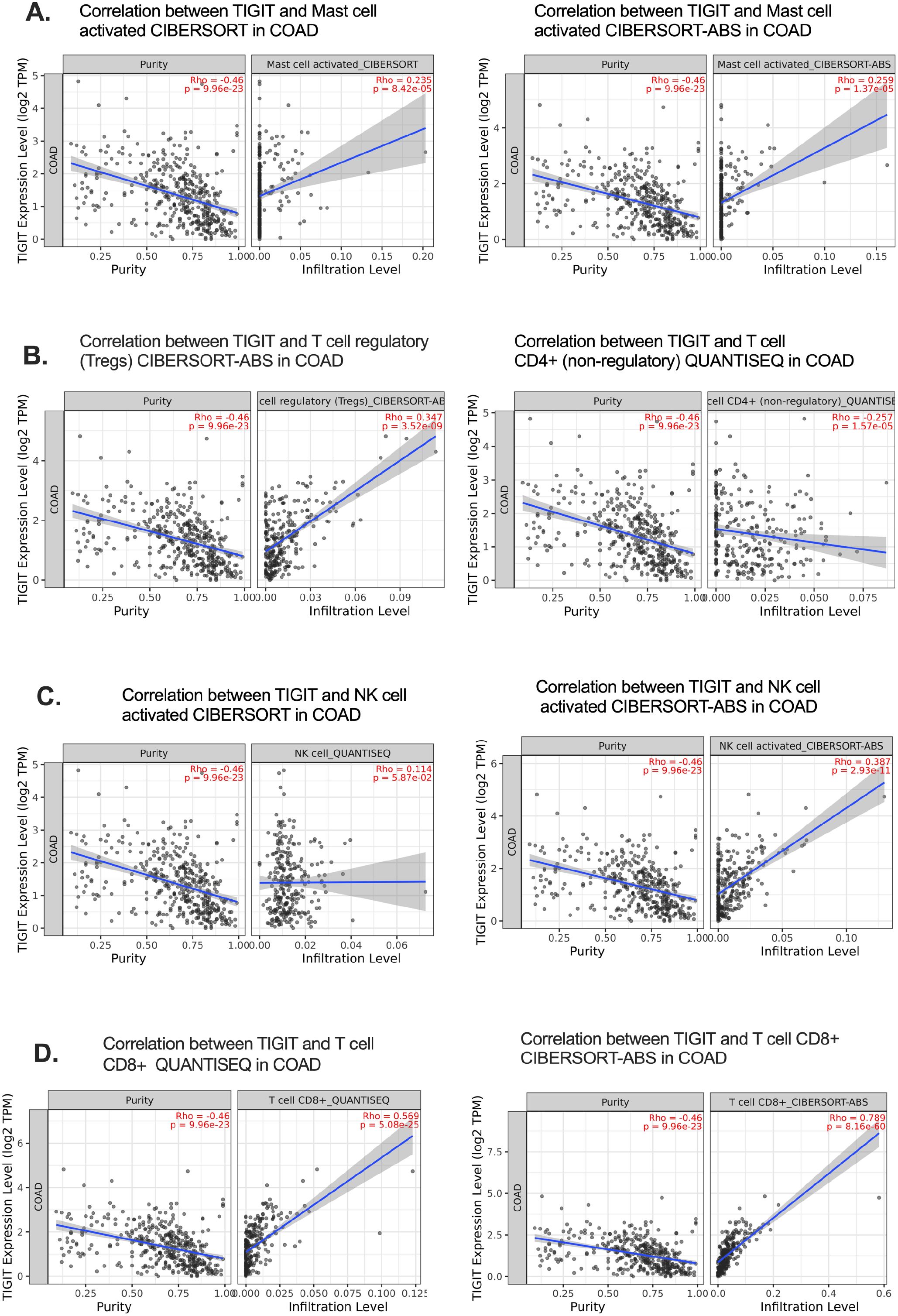 Graphs depicting correlations between TIGIT expression and immune cell infiltration in COAD. Each panel shows scatter plots with regression lines and statistical values. The top row (A) relates to mast cells, the second row (B) to T cell regulatory (Tregs) and CD4+ cells, the third row (C) to NK cells, and the last row (D) to CD8+ T cells, analyzed using CIBERSORT and QUANTISEQ methods.