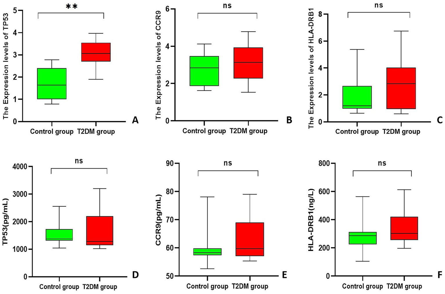 Box plots comparing control and Type 2 Diabetes Mellitus (T2DM) groups. A: TP53 expression is significantly higher in T2DM. B, C: No significant difference in CCR9 and HLA-DRB1 expression. D, E, F: Protein levels of TP53, CCR9, and HLA-DRB1 show no significant differences. Green represents control; red represents T2DM.