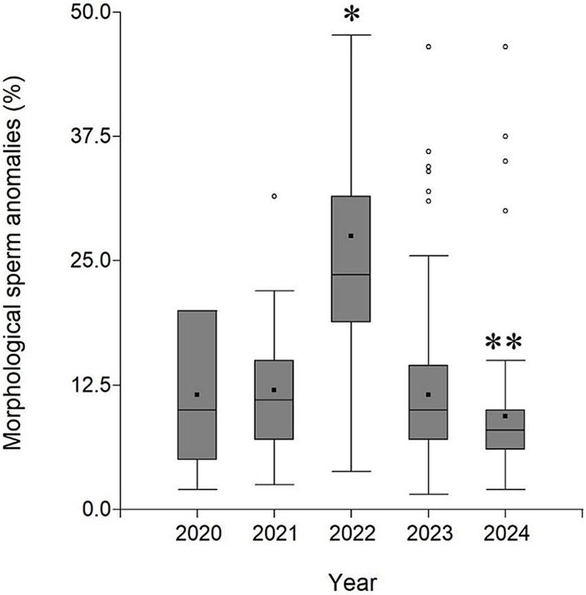 Boxplot showing morphological sperm anomalies percentage from 2020 to 2024. Anomalies increase sharply, peaking in 2022, then decrease. Outliers are present in 2022 and 2024. Significant changes marked by asterisks.
