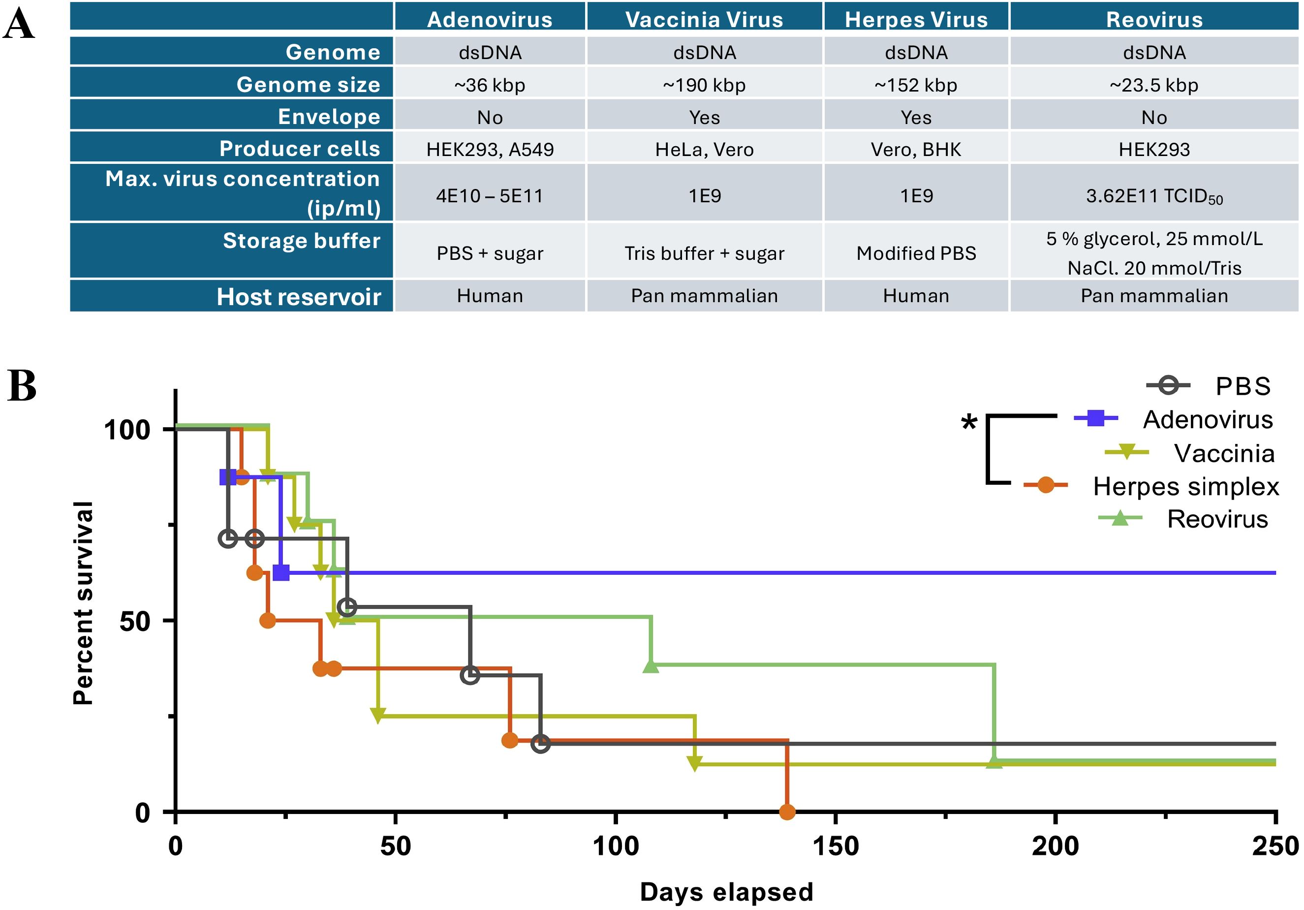 Table A details characteristics of Adenovirus, Vaccinia Virus, Herpes Virus, and Reovirus, including genome type, size, envelope presence, producer cells, max concentration, storage buffer, and host reservoir. Chart B illustrates survival percentages over time for different viruses, with lines representing Adenovirus (blue), Vaccinia (yellow), Herpes simplex (orange), Reovirus (green), and PBS control (gray). Survival decreases over days elapsed, with various rates for each group.