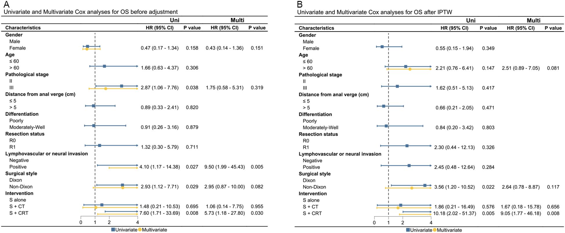 Forest plots of univariate and multivariate Cox analyses for overall survival (OS) before (Panel A) and after IPTW adjustment (Panel B). Each panel shows hazard ratios (HR) and confidence intervals (CI) for various characteristics including gender, age, pathological stage, distance from anal verge, differentiation, resection status, lymphovascular or neural invasion, surgical style, and intervention type. Univariate and multivariate analyses are represented by blue squares and yellow circles, respectively, with error bars indicating the confidence intervals.