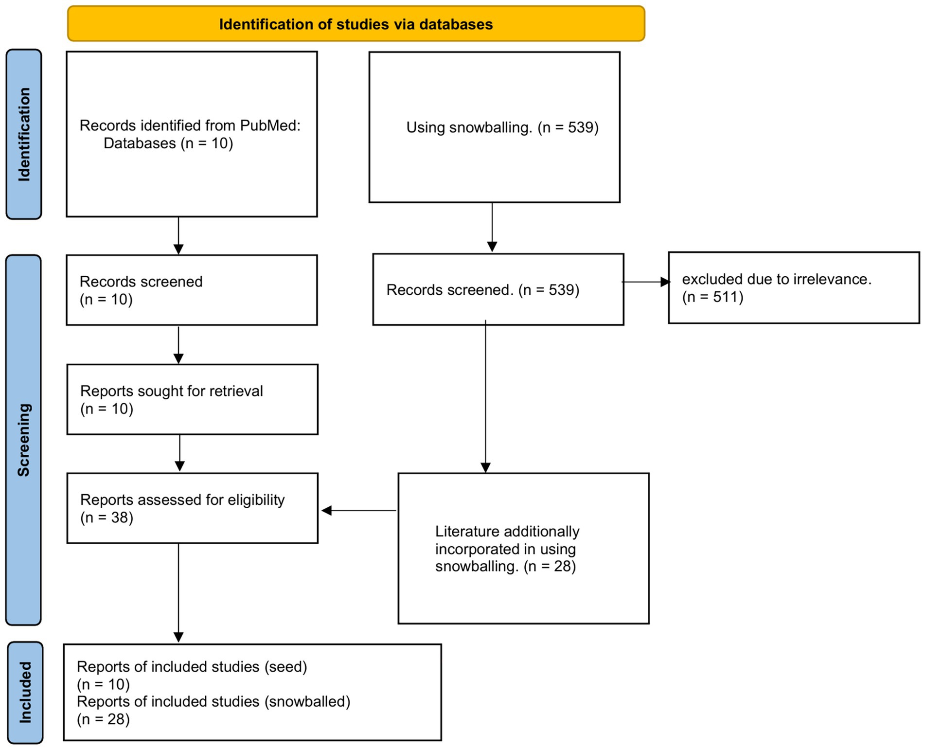 Flowchart showing the identification of studies via databases. Ten records are identified from PubMed and five hundred thirty-nine through snowballing. After screening, five hundred eleven are excluded as irrelevant. Ten reports are assessed for retrieval, leading to thirty-eight reports evaluated for eligibility. Twenty-eight additional reports are incorporated via snowballing. Final included studies consist of ten seed reports and twenty-eight snowballed reports.