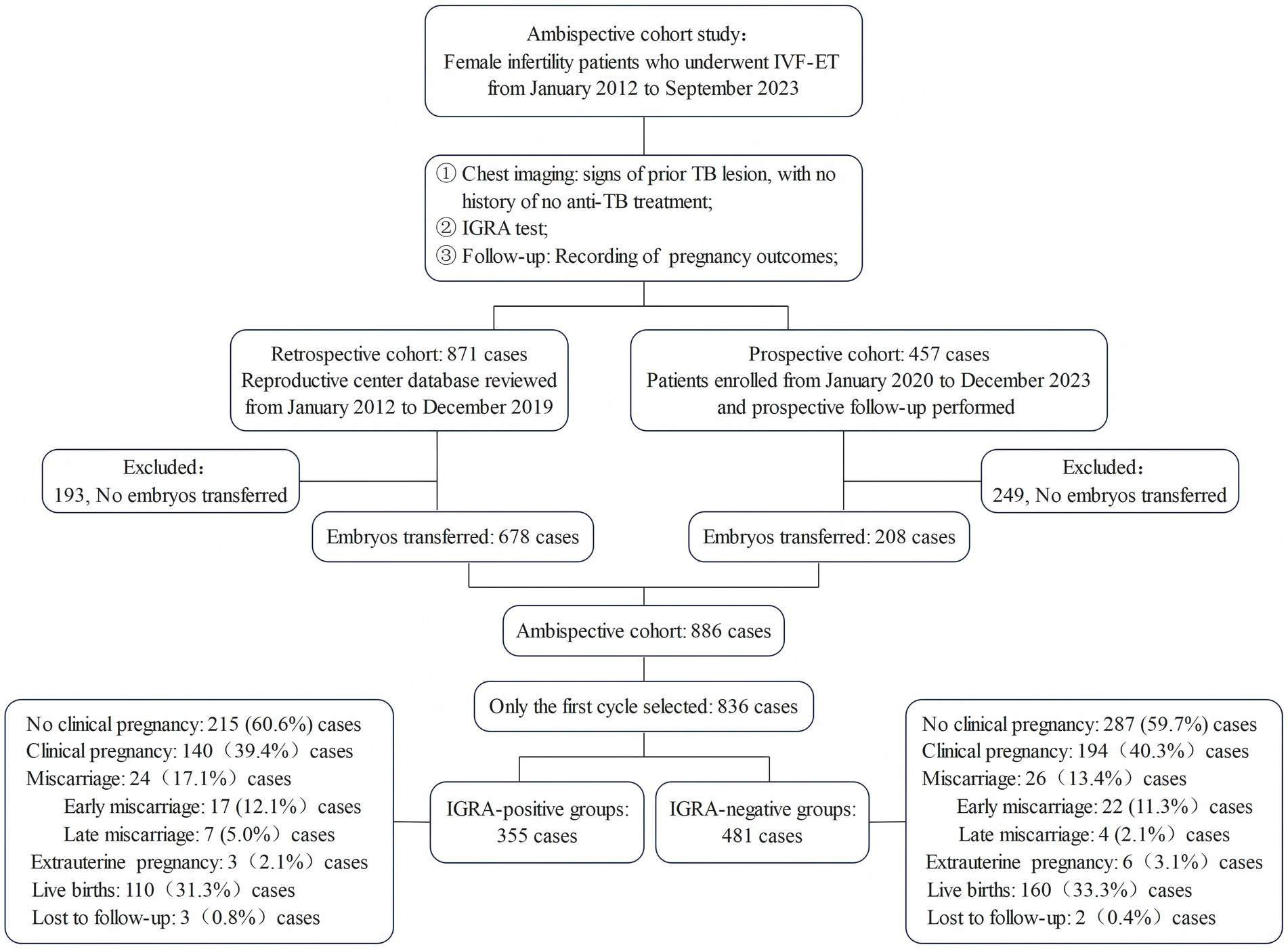 Flowchart of an ambispective cohort study on infertile women undergoing IVF-ET between January 2012 and September 2023. It includes both retrospective and prospective cohorts.In total, 886 patients were included; first-cycle data from 836 were analyzed. Participants were divided into IGRA-positive (355) and IGRA-negative (481) groups. Pregnancy outcomes include clinical pregnancy rate, miscarriage rate, and live birth rate.The flowchart provides a structured overview of patient enrollment and outcome distribution by IGRA status.