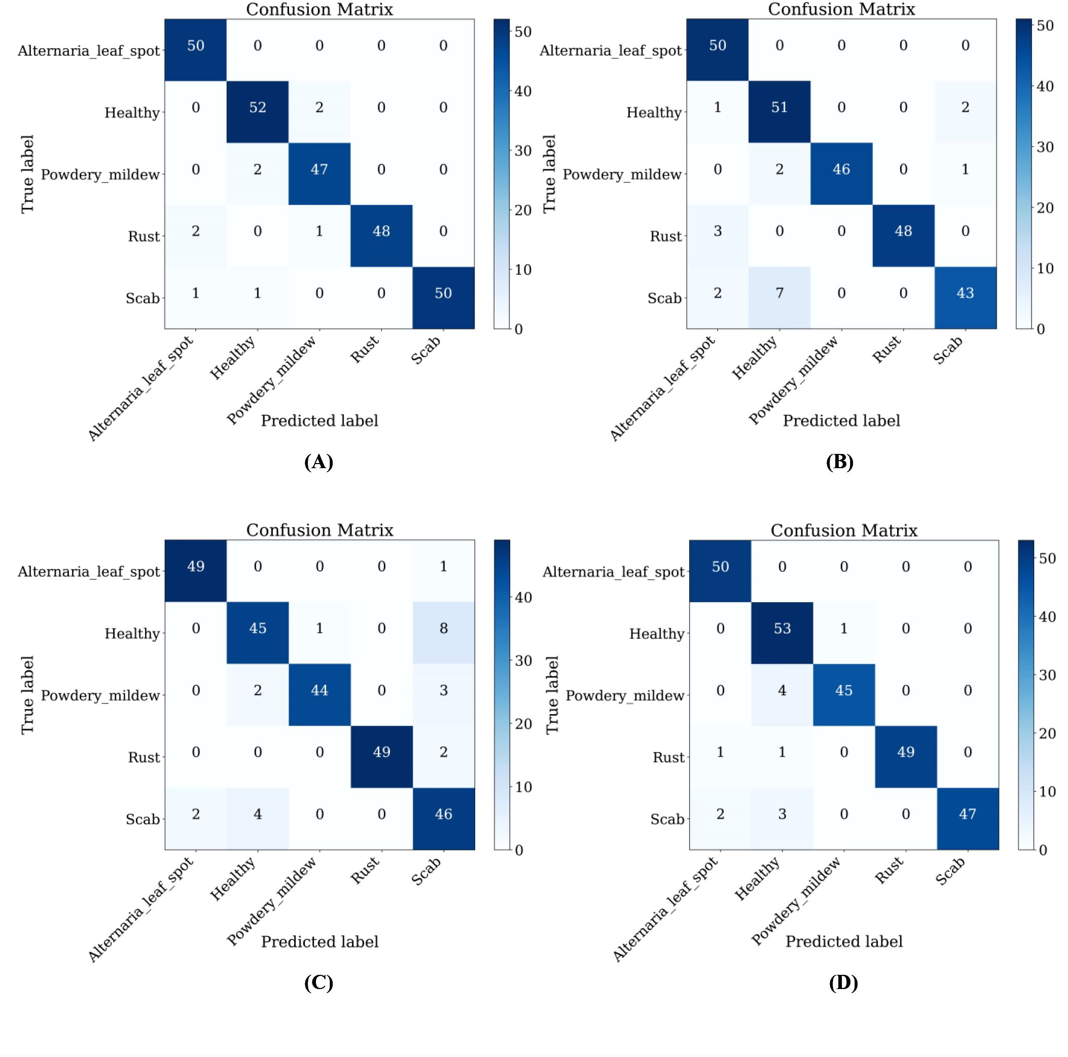 Four confusion matrices labeled A, B, C, and D, each comparing true labels against predicted labels for five classifications: Alternaria leaf spot, Healthy, Powdery mildew, Rust, and Scab. Each matrix shows a diagonal pattern indicating accurate predictions, with minor off-diagonal values representing errors. The color scale ranges from light to dark blue, indicating fewer to more instances, respectively.