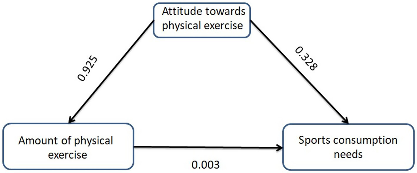 Flowchart depicting relationships between three elements: "Attitude towards physical exercise" points to "Amount of physical exercise" with a value of 0.925, and to "Sports consumption needs" with a value of 0.328. "Amount of physical exercise" connects to "Sports consumption needs" with a value of 0.003.