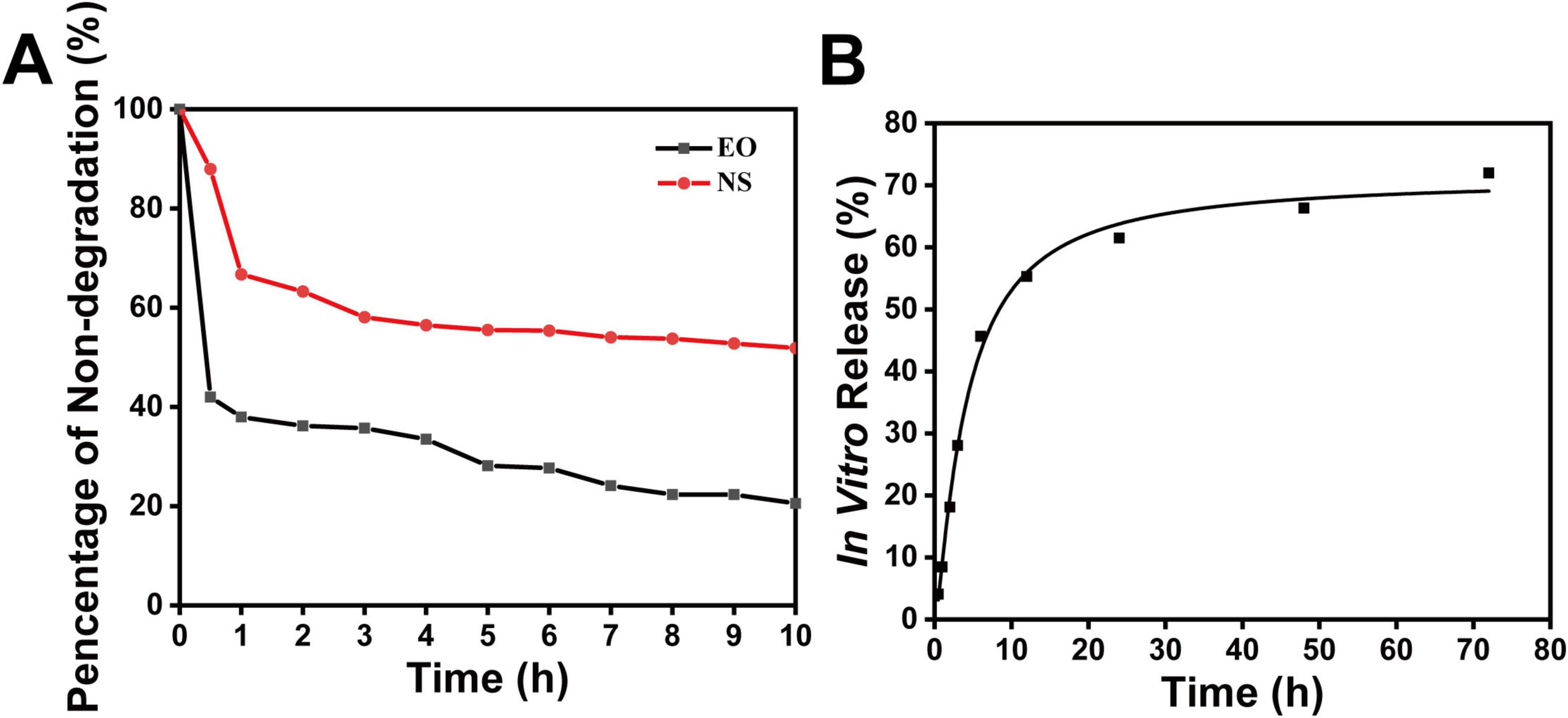 Chart A compares UV-accelerated degradation of free SsEO and nanoencapsulated SsEO (NS4) over time, showing improved stability for NS4. Chart B shows in vitro release profile of SsEO from nanospheres using dialysis, indicating rapid early release followed by a plateau near 70% at 30 hours. Each curve represents the average of three independent NS batches.