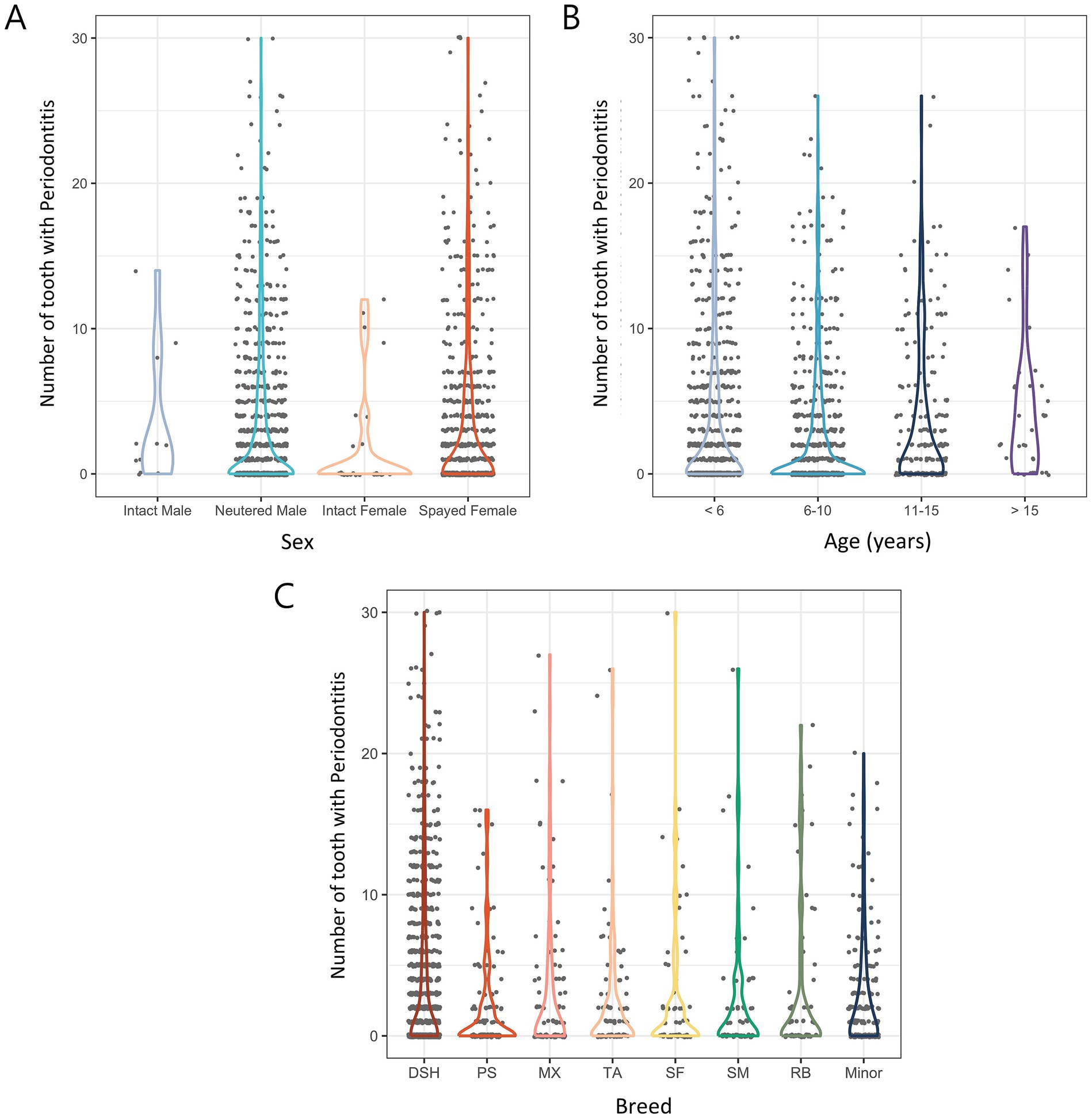 Three violin plots depict the number of teeth with periodontitis in cats. Plot A shows variation by sex: intact male, neutered male, intact female, and spayed female. Plot B shows variation by age groups: under 6, 6-10, 11-15, and over 15 years. Plot C shows variation by breed: DSH, PS, MX, TA, SF, SM, RB, and Minor. Each plot displays data distribution and frequency.