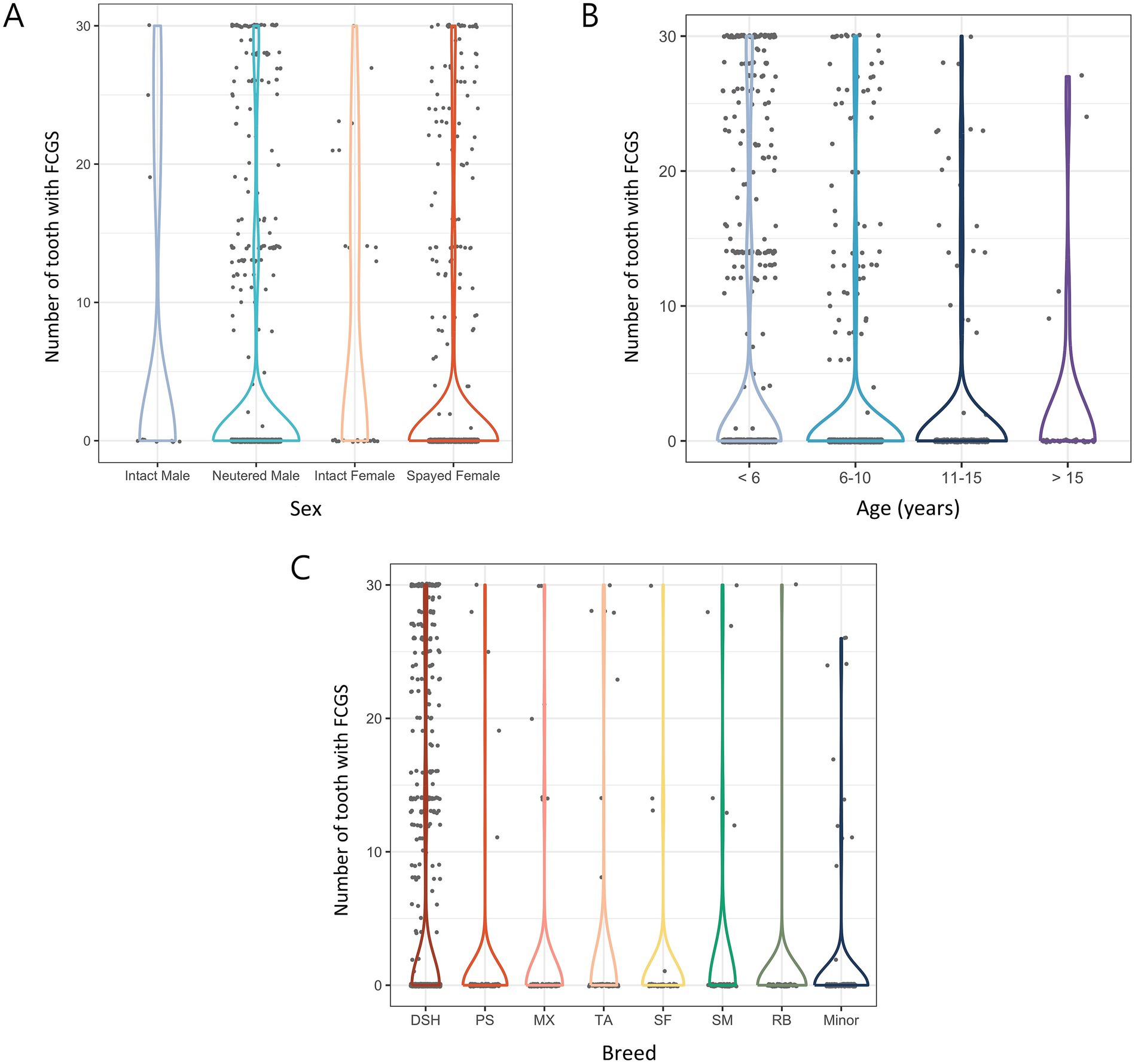 Three violin plot graphs representing the number of teeth with Feline Chronic Gingivostomatitis (FCGS) based on different factors. Graph A shows data by sex: intact male, neutered male, intact female, spayed female. Graph B presents data by age groups: less than six, six to ten, eleven to fifteen, and over fifteen years. Graph C displays data by breed, including DSH, PS, MX, TA, SF, SM, RB, and minor breeds. Each plot illustrates distributions with individual data points overlaid.