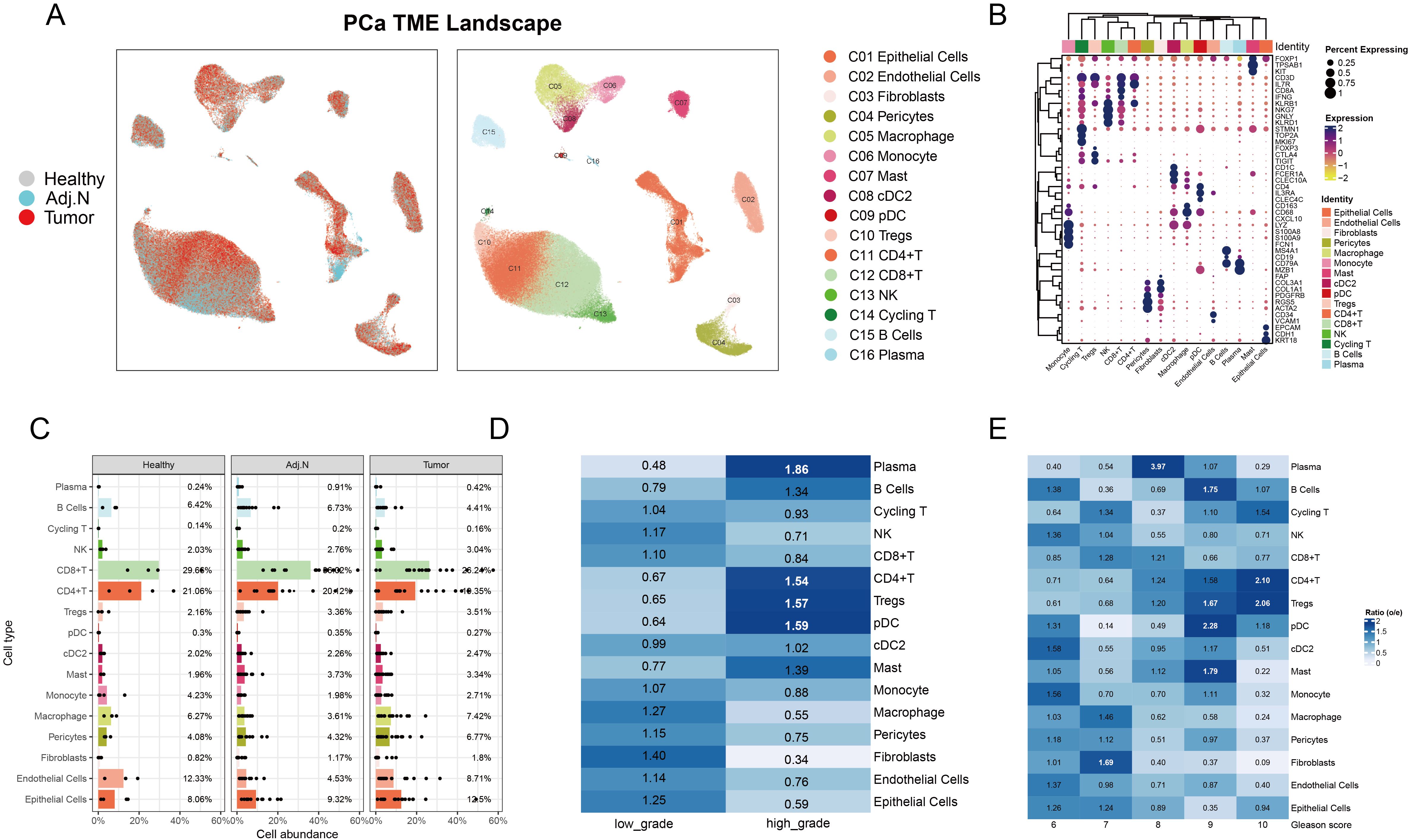 Panel A presents a PCa TME landscape with scatter plots depicting healthy, adjacent normal, and tumor tissues, color-coded by cell type. Panel B shows a heatmap with clustered dendrogram visualizing expression and percentage expression of various cell identities. Panel C consists of bar graphs displaying cell type abundance across healthy, adjacent normal, and tumor conditions. Panel D includes a heatmap comparing low-grade and high-grade samples across different cell types. Panel E displays a heatmap correlating Gleason score with relative cell types, highlighting ratios in blue shades.