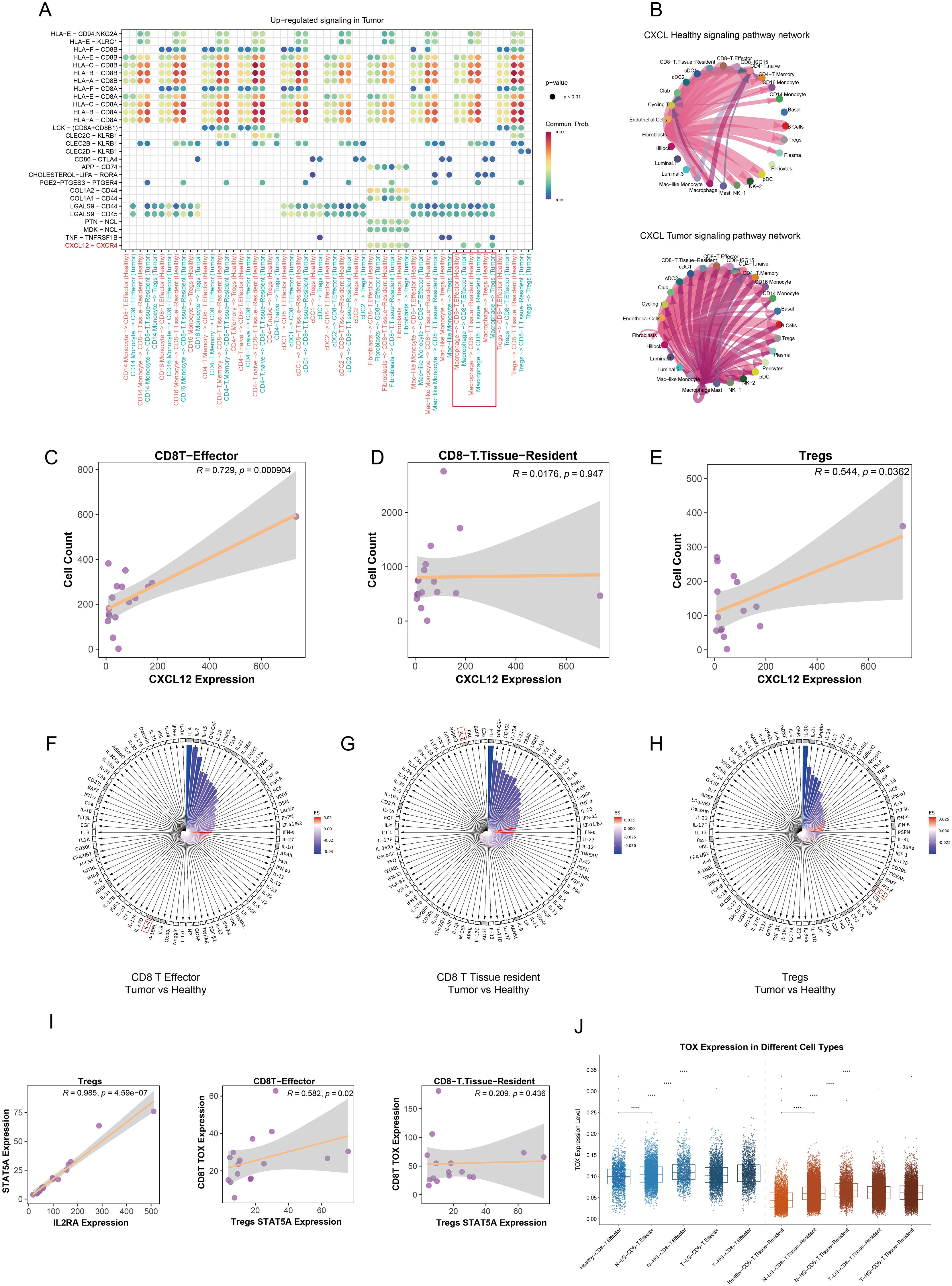 Diagram with multiple data visualizations analyzing signaling and expression differences in tumor and healthy cells. Panel A shows a heatmap of up-regulated signals in tumors. Panel B displays signaling pathway networks for CXCL in healthy and tumor cells. Panels C to E include scatter plots illustrating correlations between CXCL12 expression and cell counts. Panels F to H are circular bar charts comparing gene expression in different T-cell types. Panel I features scatter plots for STAT5A and TOX expression correlations. Panel J is a box plot showing TOX expression across cell types.