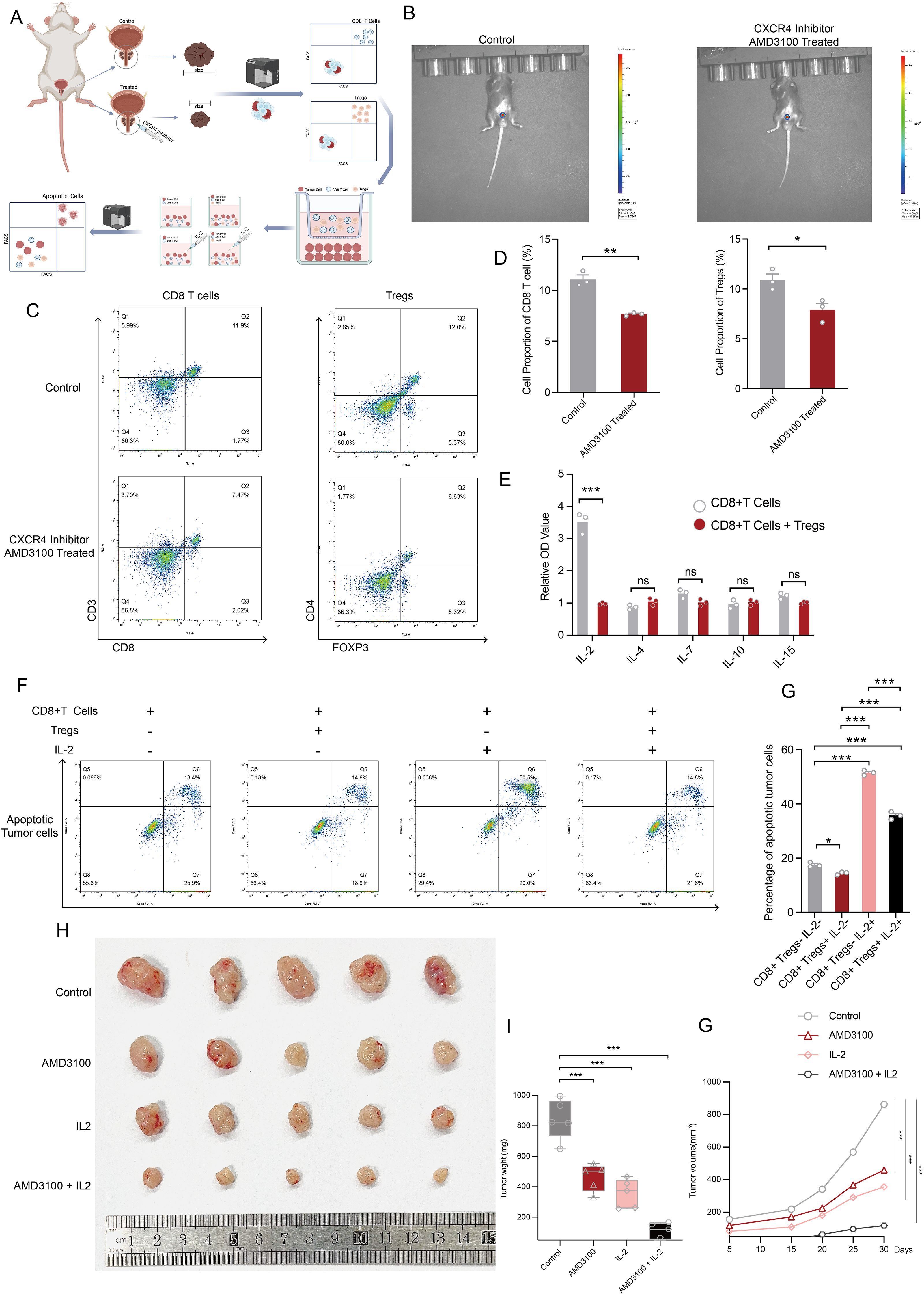 A multi-panel scientific illustration showing various experiments and results. Panel A depicts a mouse model study outline with flow cytometry analysis. Panel B shows imaging comparisons between control versus CXCR4 inhibitor AMD3100-treated subjects. Panel C presents flow cytometry scatter plots for CD8 T cells and Tregs. Panels D and E display bar graphs of cell proportions and relative optical density values, respectively, indicating statistical significance with asterisks. Panel F includes flow cytometry analysis of apoptotic tumor cells under different conditions, with a corresponding bar graph in Panel G. Panel H shows different groups of excised tumors. Panel I features box plots of tumor weights. A line graph in Panel G tracks tumor growth over time for different treatments.