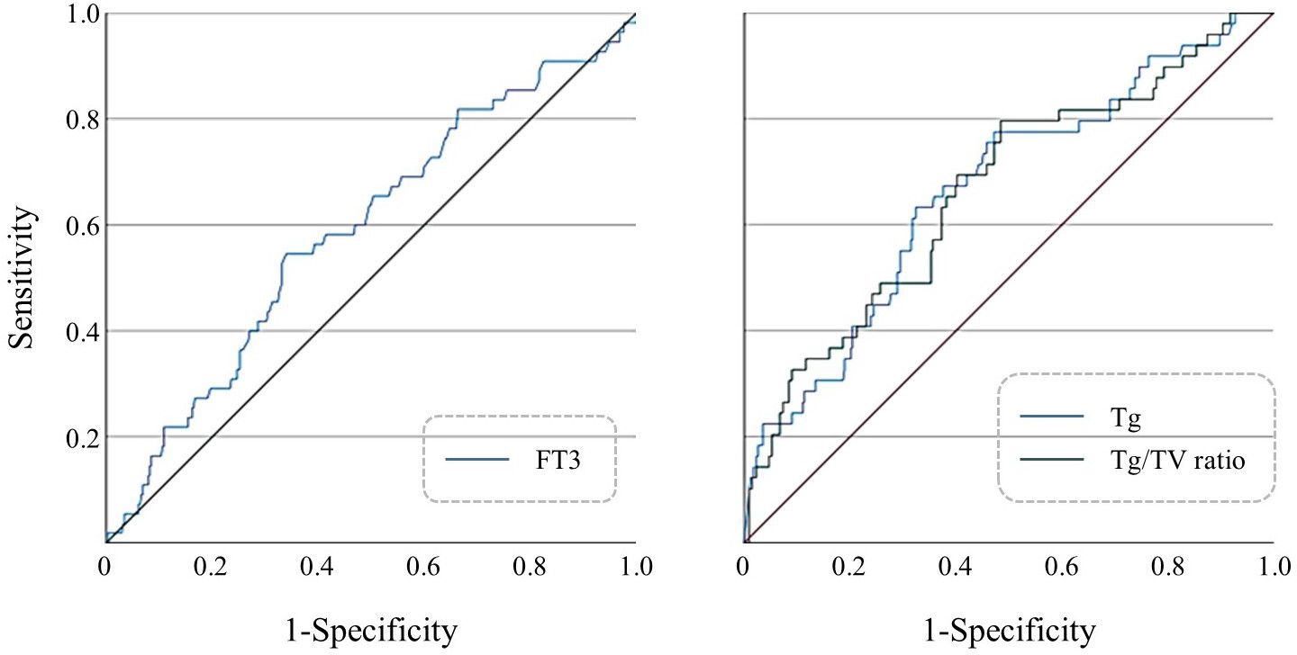 Two ROC (Receiver Operating Characteristic) curves are shown. The left graph plots FT3, and the right graph compares Tg and Tg/TV ratio. Both graphs depict sensitivity against 1-specificity, with diagonal reference lines indicating no discrimination ability. The curves compare the predictive accuracy of each measure. The legend differentiates the parameters with distinct colored lines.