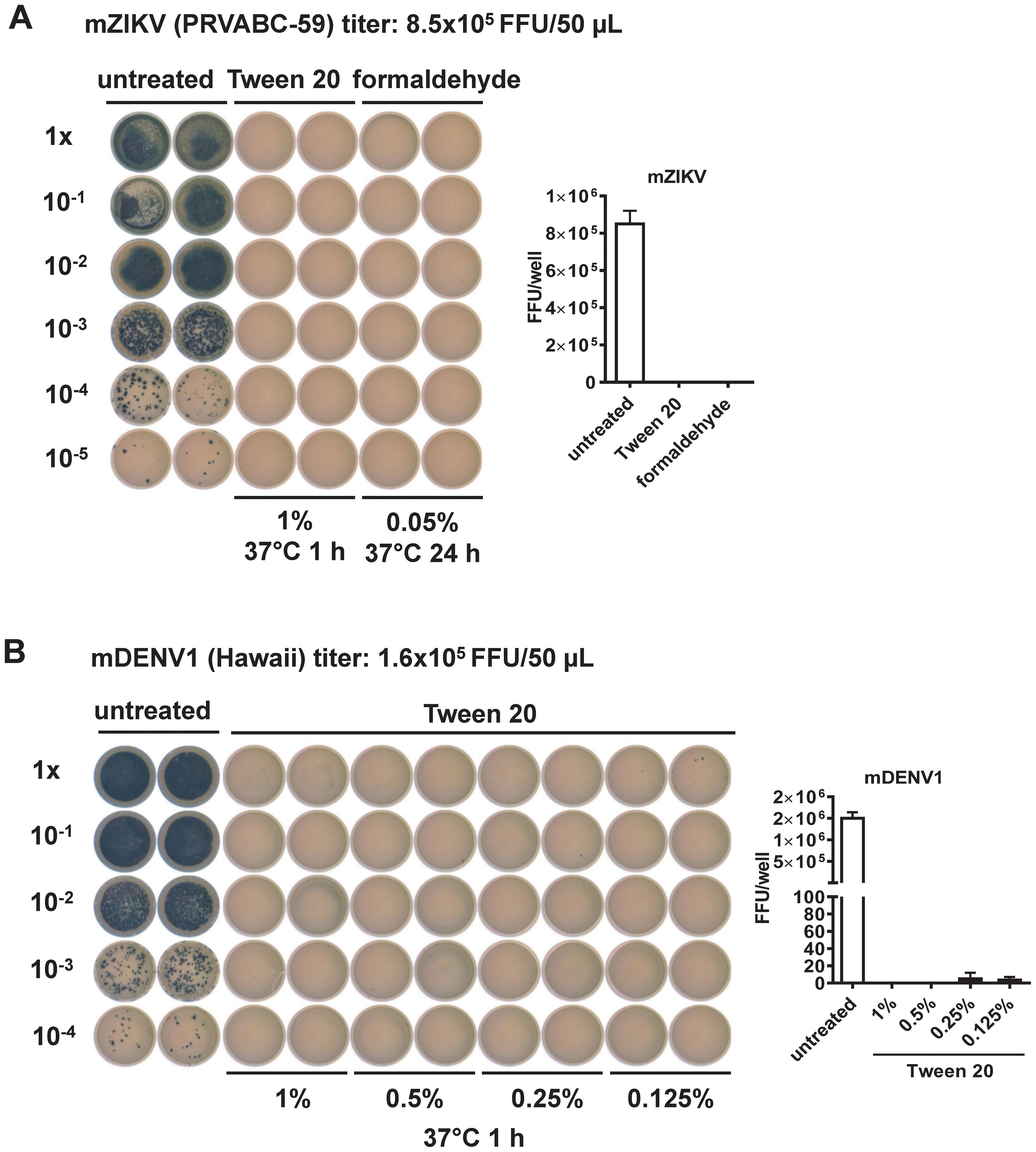 Two panels labeled A and B show the effects of treatments on virus titers. Panel A displays mZIKV titer with untreated, Tween 20, and formaldehyde treatments at various concentrations, alongside a bar graph reflecting higher titers for untreated samples. Panel B shows mDENV1 titer with untreated and Tween 20 treatments at different concentrations, and a bar graph indicating a significant decrease in titer with Tween 20 treatment.