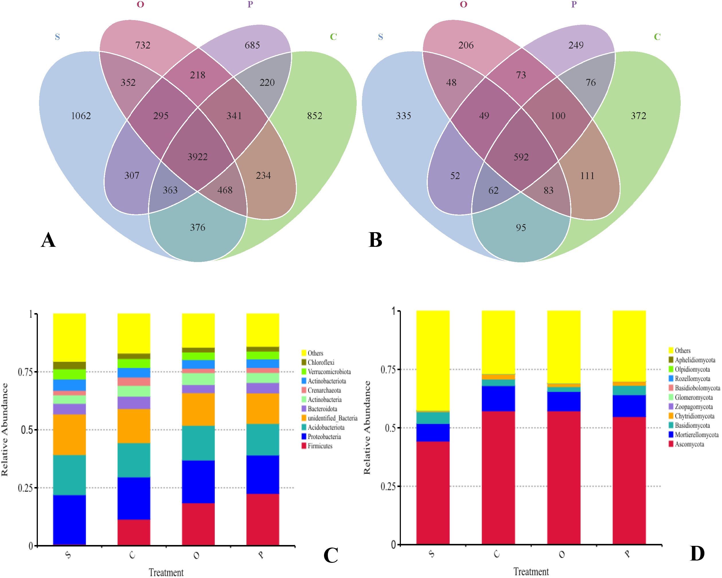 Venn diagrams A and B show the number of shared and unique entities across groups labeled S, O, P, and C, with A showing larger numbers. Bar charts C and D depict relative abundance of various bacteria (C) and fungi (D) across different treatments. Different colors represent different groups, with key differences visible in distribution patterns.