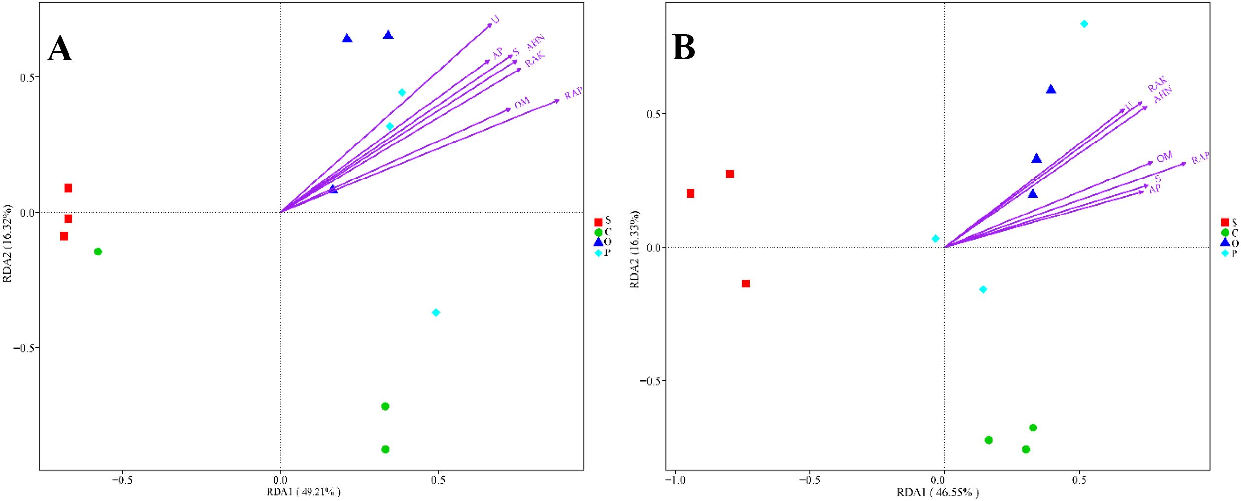 Two RDA (Redundancy Analysis) biplots labeled A and B. Each plot displays data points symbolized by red squares, green circles, blue triangles, and cyan diamonds, representing different categories. Purple arrows indicate variable vectors with labels such as “U,” “AP,” “S,” “AHN,” and others. The axes denote RDA1 and RDA2, each explaining a percentage of variance. Panel A shows similar data distribution to panel B, with variations in the orientation and spread of categories and vectors.