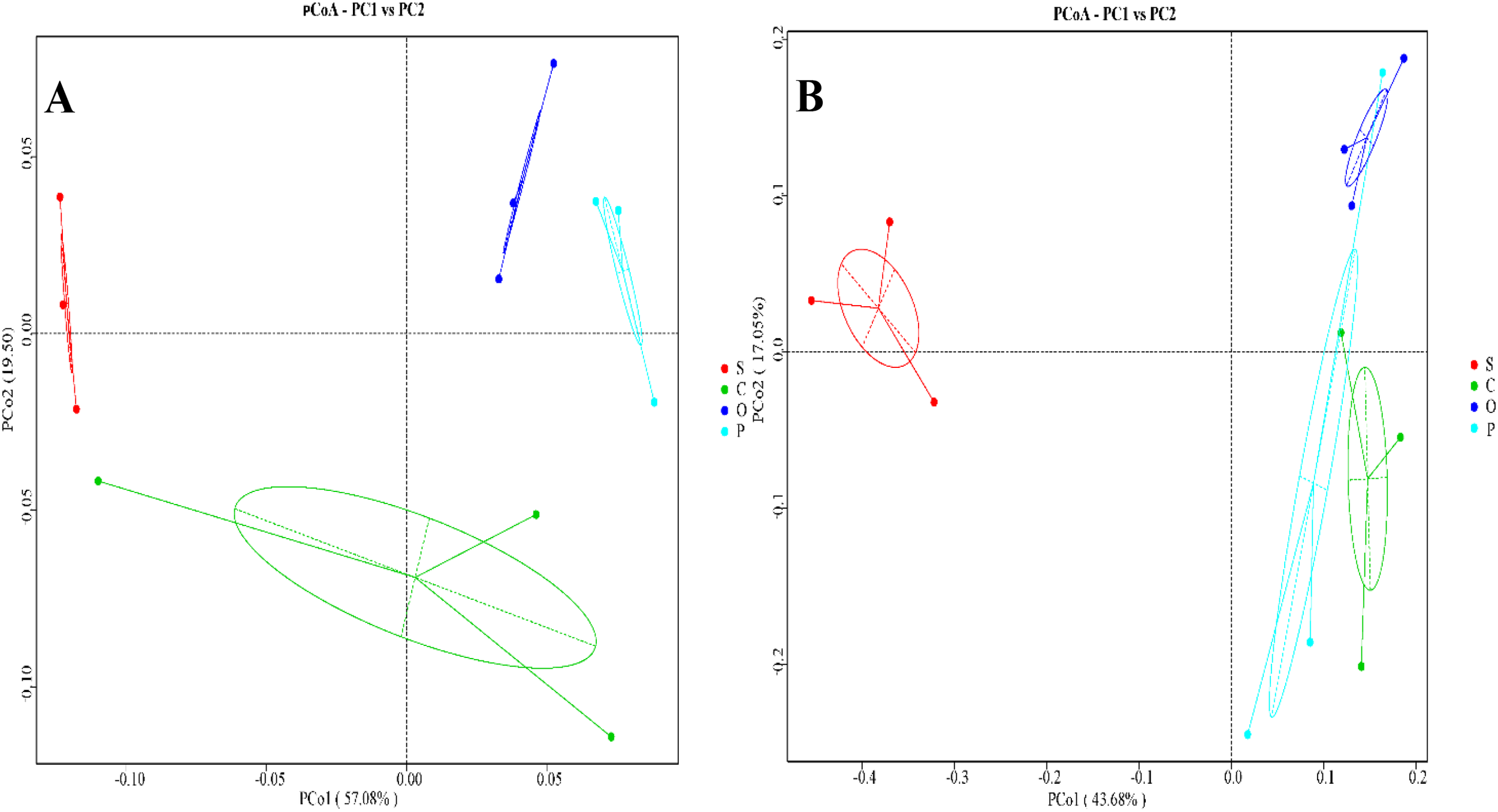 Two side-by-side PCoA plots labeled A and B, each showing data points in different colors representing groups S (red), C (green), O (cyan), and P (blue). Plot A displays PC1 at 57.08% variance against PC2 at 19.50%, with clusters scattered and slightly overlapped. Plot B shows PC1 at 43.68% variance against PC2 at 17.05%, with more distinct clusters. Dashed lines and ellipses indicate group separation and variation.