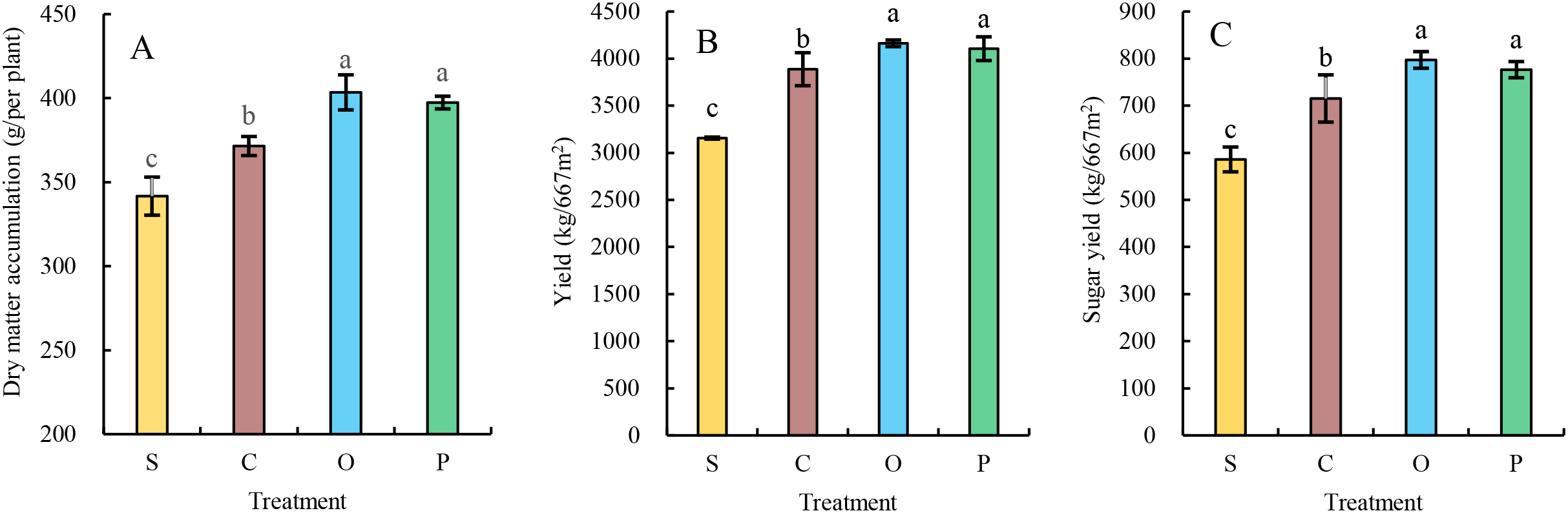 Three bar charts labeled A, B, and C show different measurements for four treatments: S, C, O, and P. Chart A displays dry matter accumulation, with P having the highest value. Chart B shows yield, with O and P having similar high values. Chart C presents sugar yield, with O and P again showing the highest values. Error bars and letters indicate statistical significance.