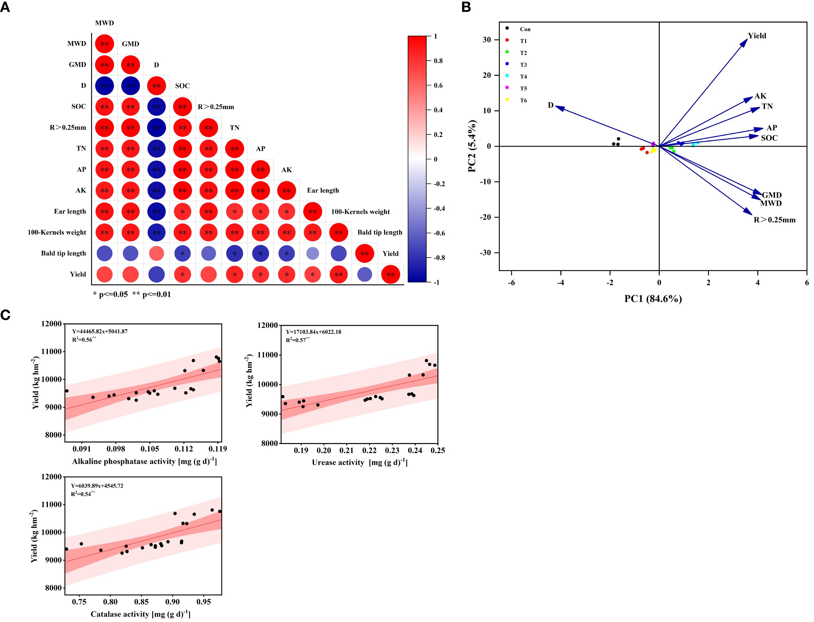 A composite image with three panels: A) A correlation matrix showing relationships between variables like MWD, GMD, and yield, with color-coding for significance. B) A PCA biplot with arrows indicating variable directions and group differentiation by color. C) Three scatter plots displaying yield versus enzyme activities (alkaline phosphatase, urease, catalase) with fitted regression lines and confidence intervals.