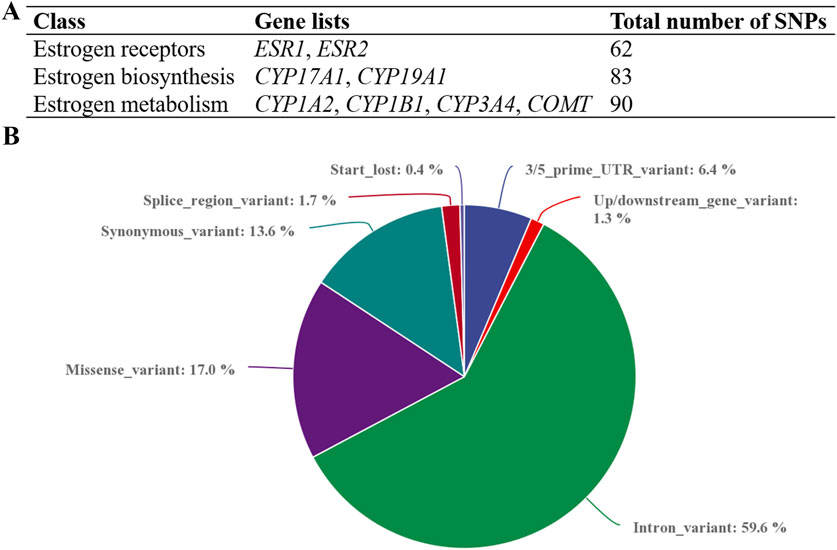 Table A lists genes related to estrogen receptors, biosynthesis, and metabolism with their total SNPs: 62, 83, and 90, respectively. Chart B is a pie chart depicting variant types with percentages: intron (59.6%), missense (17%), synonymous (13.6%), three/five prime UTR (6.4%), splice region (1.7%), upstream/downstream (1.3%), and start lost (0.4%).