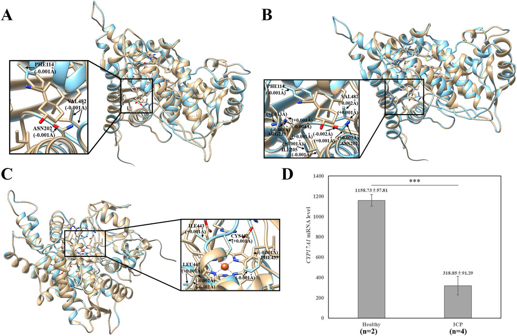 Three molecular structures, labeled A, B, and C, are shown with close-up insets highlighting different amino acid interactions with slight distance measurements annotated. Panel D is a bar graph comparing CYP7A1 mRNA levels between healthy subjects and those with ICP, showing significantly higher levels in healthy individuals.
