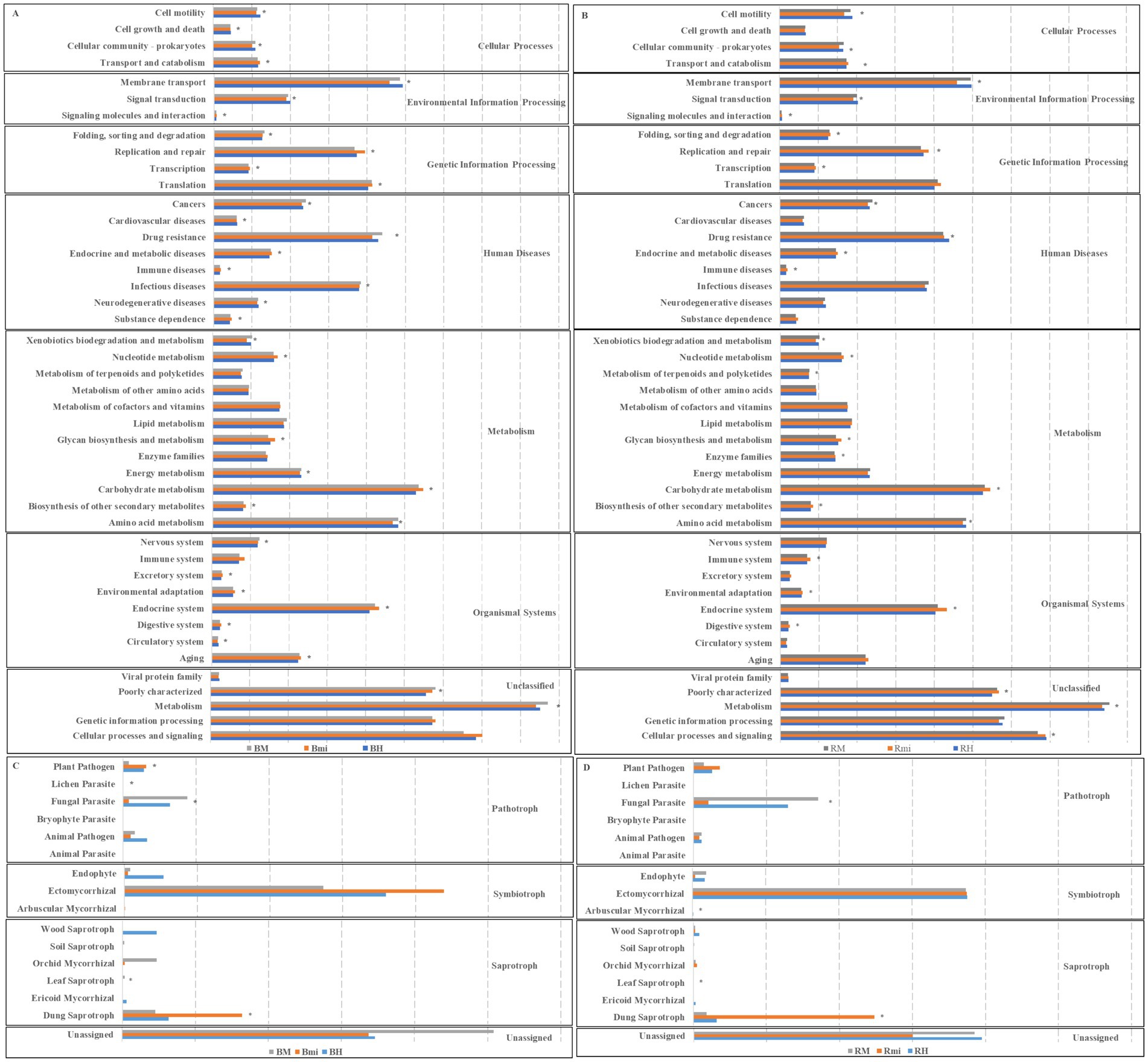 Bar chart comparing various biological and metabolic processes across six categories: Cellular Processes, Environmental Information Processing, Genetic Information Processing, Human Diseases, Metabolism, Organismal Systems, and Unclassified. Each category displays bars corresponding to three variables labeled BM, Bmi, and BH. The processes include aspects like cell motility, immune diseases, enzyme families, and aging, among others. Bars are color-coded and vary in length, indicating different values across the categories.