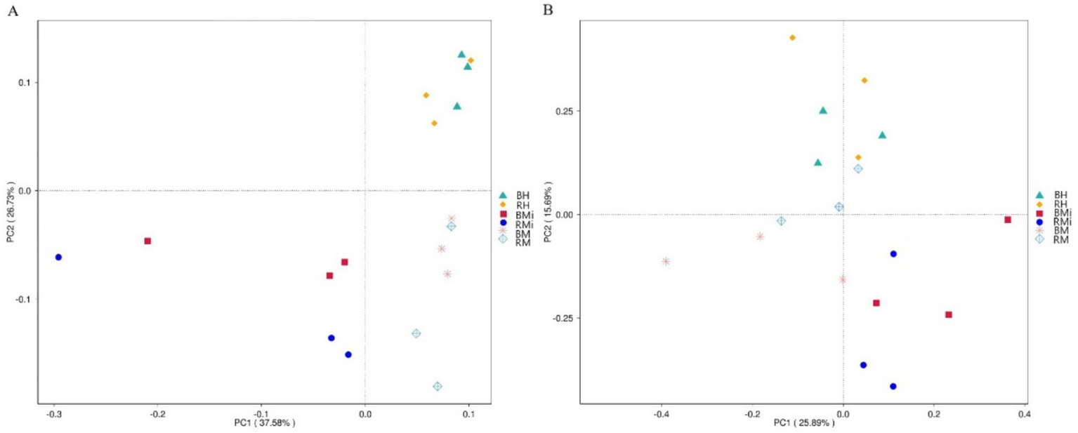 Two PCA scatter plots labeled A and B compare groupings of data points using principal components one and two. Different symbols and colors represent categories such as BH, RH, BMi, RMi, BM, and RM, indicated in the legend. Plot A has PC1 at thirty-seven point fifty-eight percent and PC2 at twenty-eight point seventy-three percent, whereas Plot B has PC1 at twenty-five point eighty-nine percent and PC2 at fifteen point sixty-nine percent. Each plot shows distinct clusters of symbols.