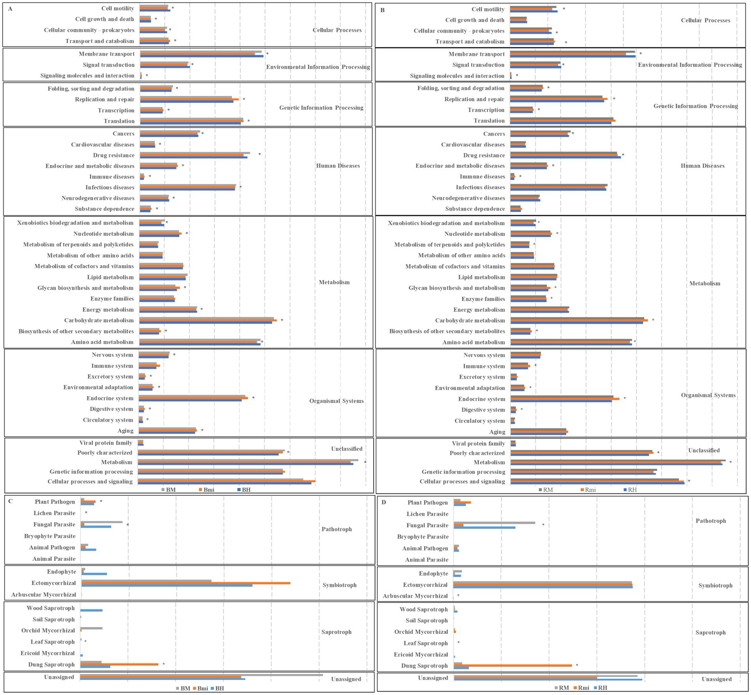 Two bar charts labeled C and D display data on various trophic groups: pathotroph, symbiotroph, saprotroph, and unassigned. Categories include plant pathogen, ectomycorrhizal, and wood saprotroph. The bars represent different conditions or groups, with colors indicating BM, Bmi, BH for chart C, and RM, Rmi, RH for chart D. Star symbols highlight significant observations.