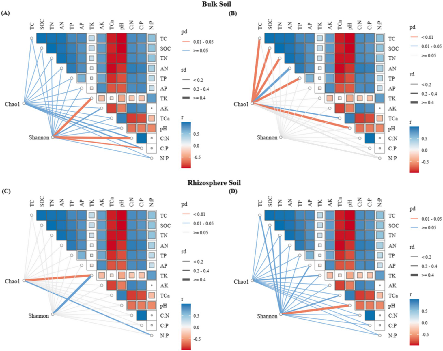 Correlation plots showing relationships among soil properties in bulk soil (A, B) and rhizosphere soil (C, D). Variables include TC, SOC, TN, AN, TP, AP, TK, AK, TCa, pH, and nutrient ratios C:N, C:P, N:P. The color gradient represents correlation strength, with blue indicating positive and red indicating negative correlations. Line thickness indicates significance levels (pd) and range descriptors (rd). Chao1 and Shannon diversity indices are connected to several variables.