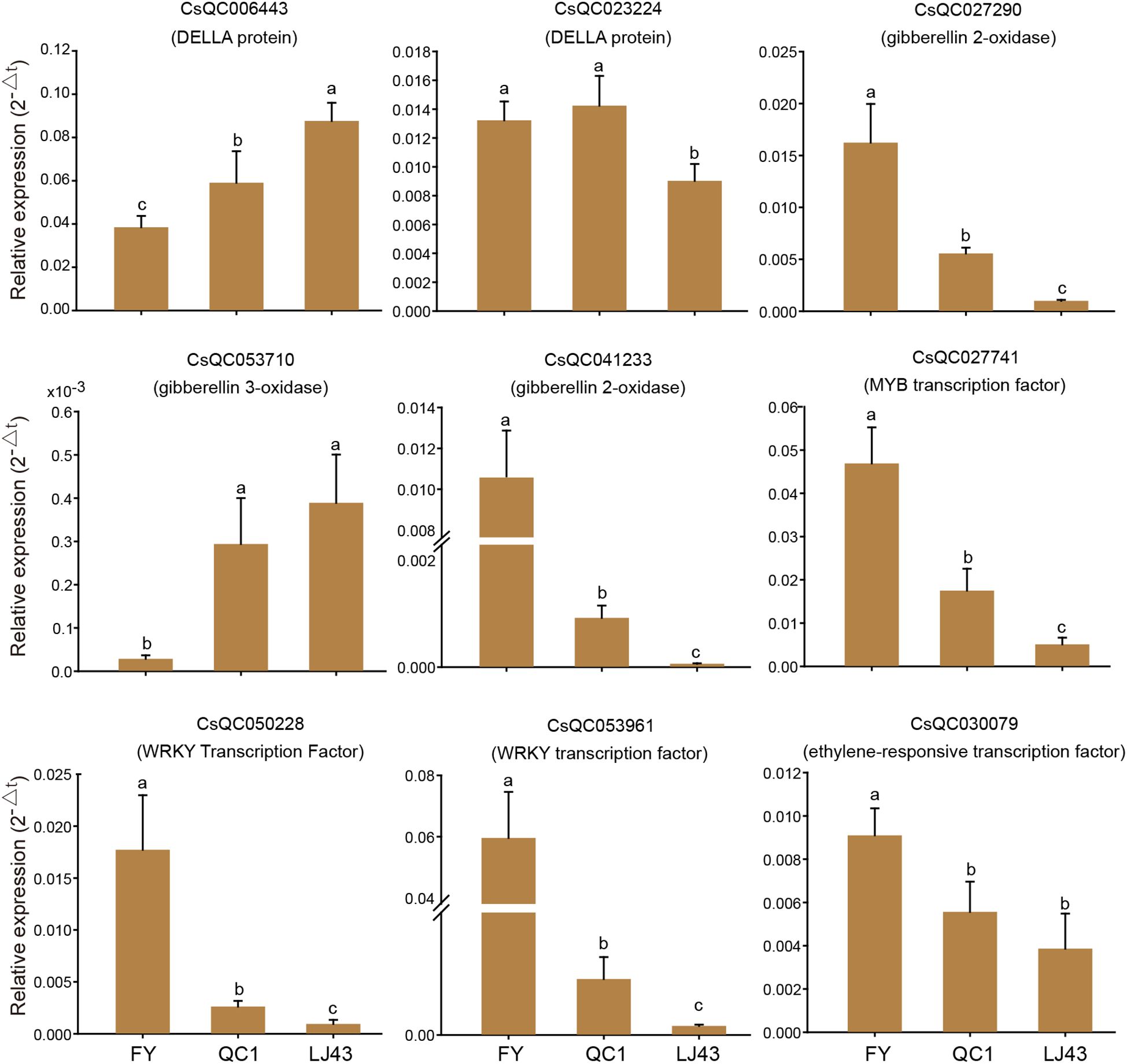 Bar charts display relative expression levels of various genes: DELLA proteins (CsQC06443, CsQC023224), gibberellin 2-oxidase (CsQC027290), gibberellin 3-oxidase (CsQC053710), MYB transcription factor (CsQC027741), WRKY transcription factors (CsQC050228, CsQC053961), and ethylene-responsive transcription factor (CsQC030079). Expression levels are compared across FY, QC1, and LJ43 conditions, with significant differences indicated by letters a, b, c. Each chart includes labeled axes and error bars.
