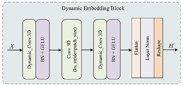 Diagram of a Dynamic Embedding Block showing a sequence of processes: Dynamic Conv 3D with GELU and batch normalization, Conv 3D with stride equal to patch size, another Dynamic Conv 3D with GELU and batch normalization, followed by Flatten, Layer Norm, and Reshape. Inputs are X and outputs are H.