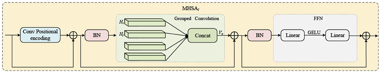 Diagram illustrating a neural network architecture. It starts with convolutional positional encoding, followed by batch normalization (BN). Grouped convolution transforms input, it's concatenated, then batch normalized again. A feedforward network (FFN) follows with linear transformations, a GELU activation, and ends with addition operations connecting back to earlier inputs.