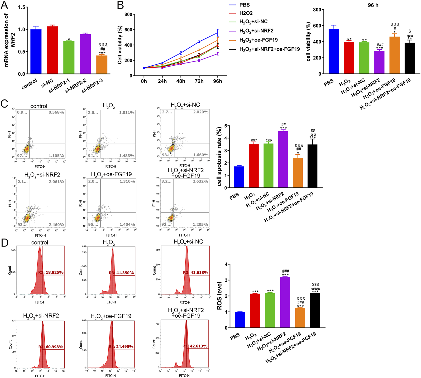 Bar charts, line graphs, and scatter plots illustrate experimental data. A: Bar chart showing mRNA expression of NRF2 with various treatments.B: Line graph and corresponding bar chart displaying cell viability over time and at 96 hours with different treatments.C: Scatter plots and bar chart depicting the cell apoptosis rate under various conditions.D: Histogram plots and bar chart illustrating ROS levels across different treatments. Data comparisons are indicated with symbols such as asterisks and hash marks for significance.