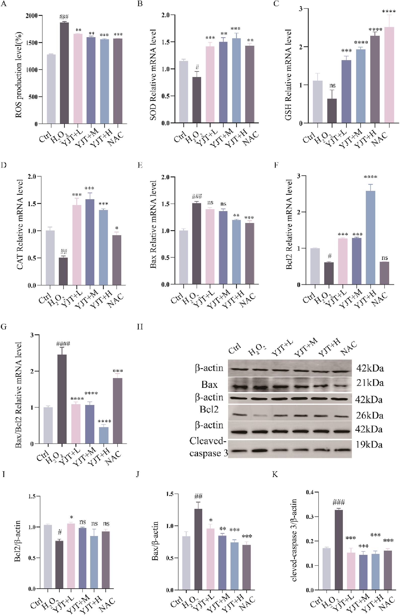 Graphs labeled A through K present various biochemical measurements, with bar charts comparing different treatments: control, H2O2, and varying doses of YJT and NAC. Panel II shows Western blot bands for β-actin, Bax, Bcl2, and cleaved-caspase 3, indicating protein expression levels across treatments. Significance indicators (e.g., *, #) denote statistical differences.