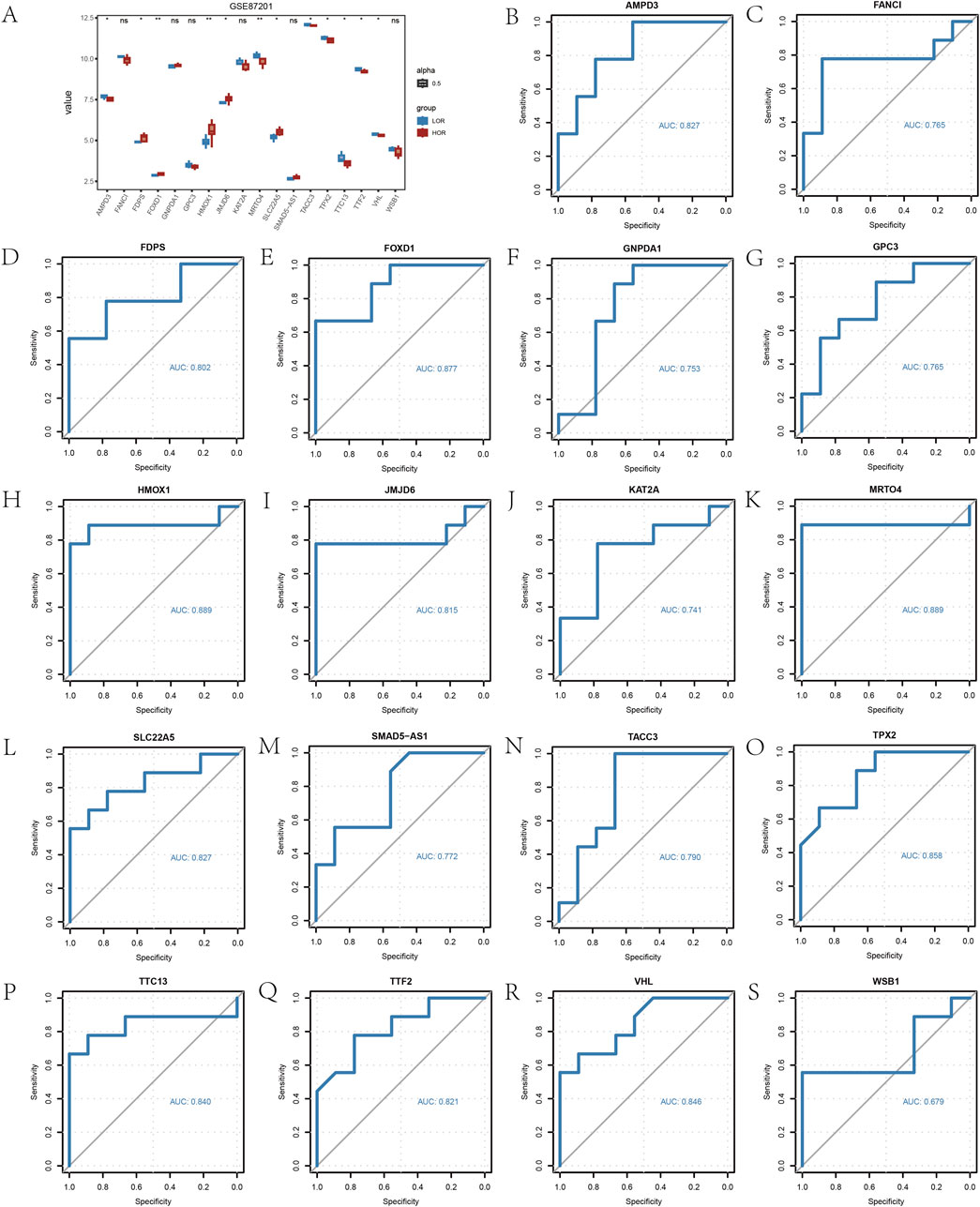 Panel A displays five density plots from gene set enrichment analysis, including ZHENG Response to Arsenite, Zinc Homeostasis, Oxidative Phosphorylation, Respiratory Electron Transport, and WINTER Hypoxia. Panels B to F show enrichment score plots, each detailing a gene set's performance in an ordered dataset based on rank, with different normalized enrichment scores (NES), adjusted p-values (padj), and false discovery rates (FDR) for each pathway.