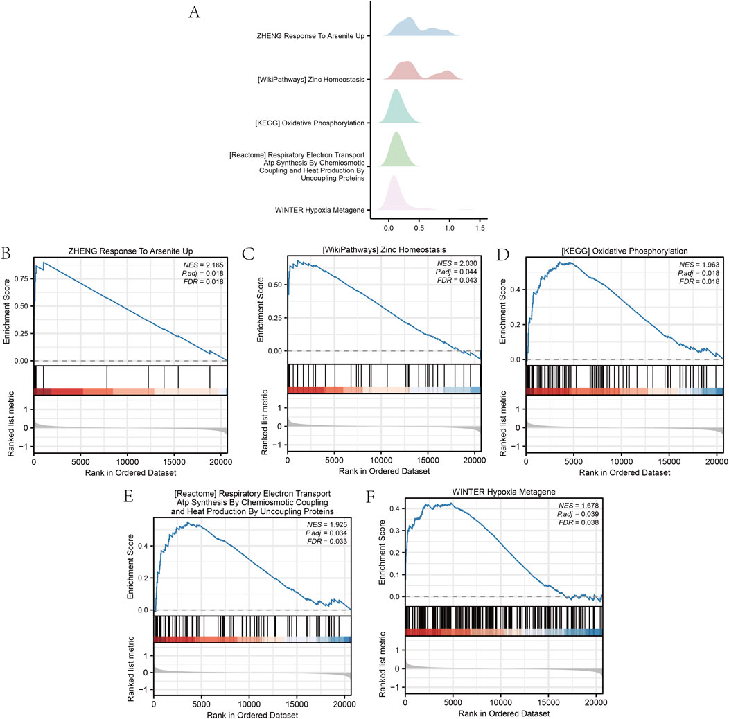 Heatmap and boxplot visualizations comparing gene set variation analysis (GSVA) data. The heatmap shows color-coded data for gene pathways between two groups (LOR and HOR), ranging from blue to red. The boxplot below displays the correlation abundance of pathways, with significant differences marked by asterisks. Each plot is labeled with descriptive titles and group legends.