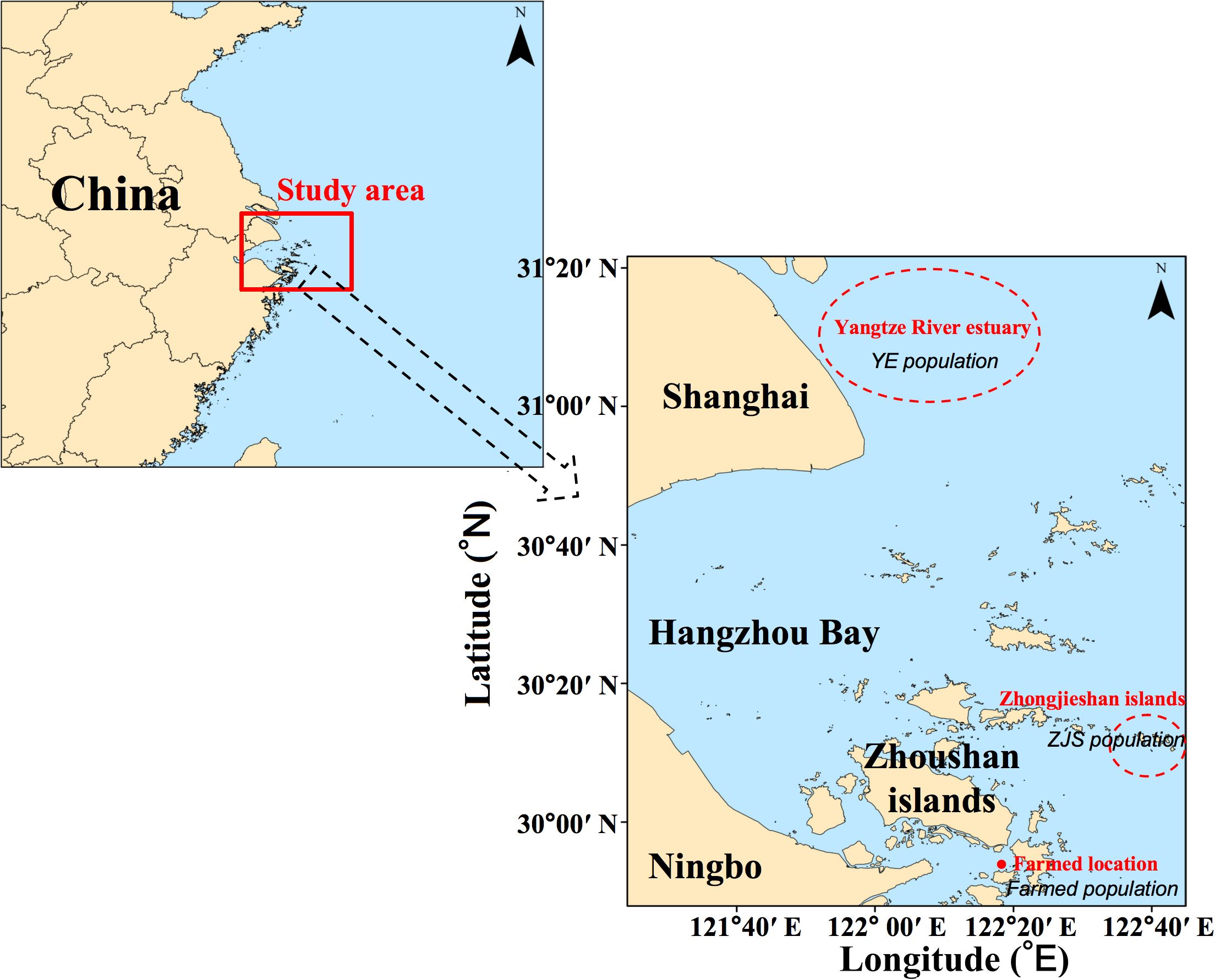 Map of Eastern China highlighting a study area near the Yangtze River estuary, Shanghai, Hangzhou Bay, and Zhoushan islands. Insets show approximate locations of the Yangtze River estuary (YE population) and Zhoushan islands (ZJS population), with a farmed location marked. Coordinates for latitude and longitude are provided.