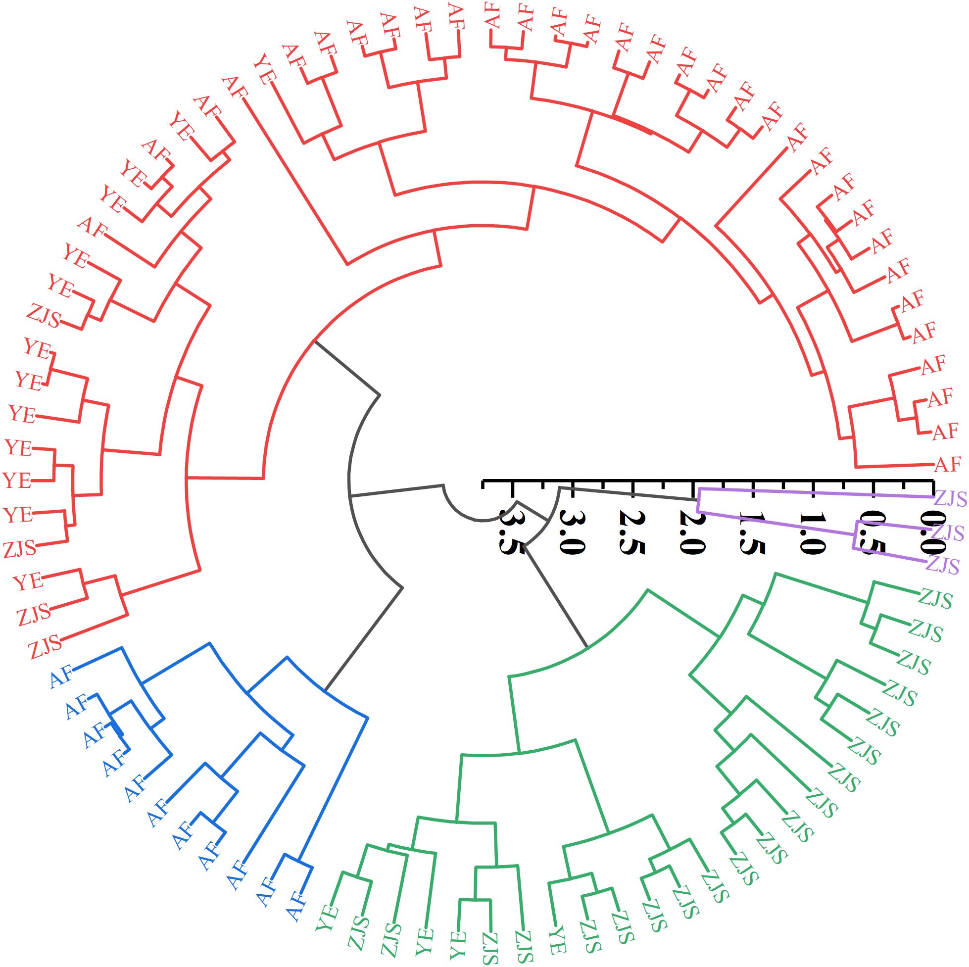 Circular phylogenetic tree with colored branches. Red, blue, green, and purple represent four categories.