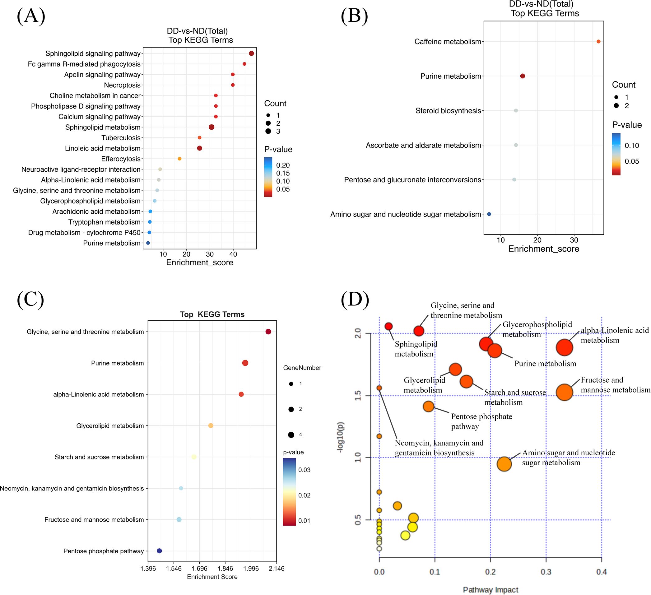 Four panels illustrate KEGG pathway enrichment and impact analyses based on LC-MS and GC-MS data. Panel A shows LC-MS-based enrichment with bubble sizes representing metabolite counts and colors reflecting significance. Panel B presents similar analysis from GC-MS data. Panel C integrates LC-MS and GC-MS results with combined pathway enrichment. Panel D displays a pathway impact plot, where each circle represents a pathway plotted by statistical significance (p-value, Y-axis) and pathway impact (X-axis). Larger and darker circles indicate more significant and biologically influential pathways.