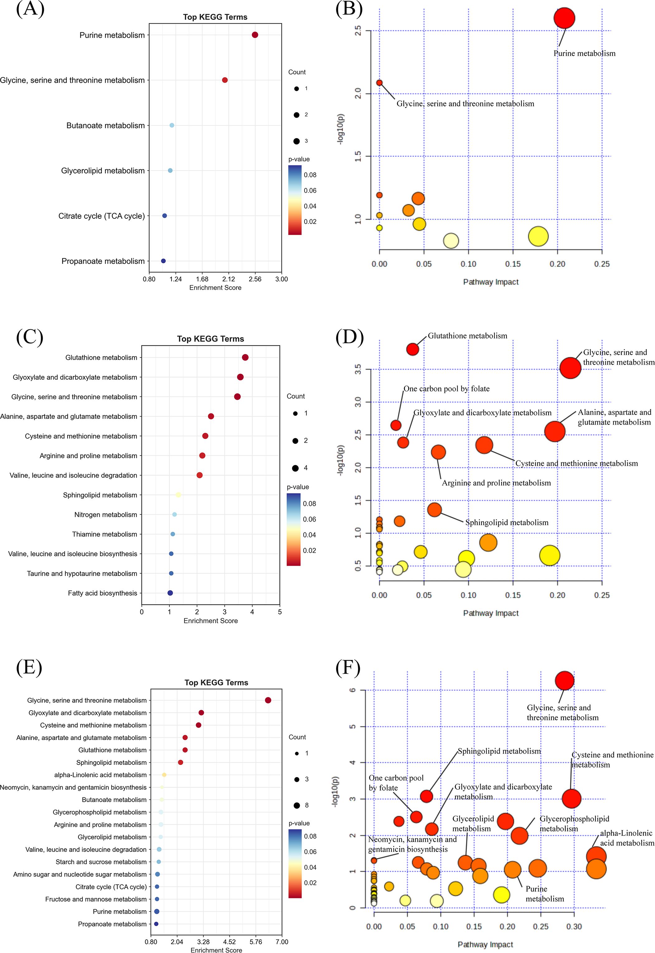 Six panels (A–F) show KEGG pathway enrichment and impact analyses from WGCNA and MR-integrated results. Panels A, C, and E are bar plots showing enriched KEGG terms ranked by enrichment scores; key pathways include purine metabolism, glutathione metabolism, and glycine–serine–threonine metabolism. Panels B, D, and F are corresponding bubble plots showing pathway impact vs. –log(p), where bubble size reflects metabolite count. Glycine–serine–threonine and purine pathways consistently show high impact and significance across methods.