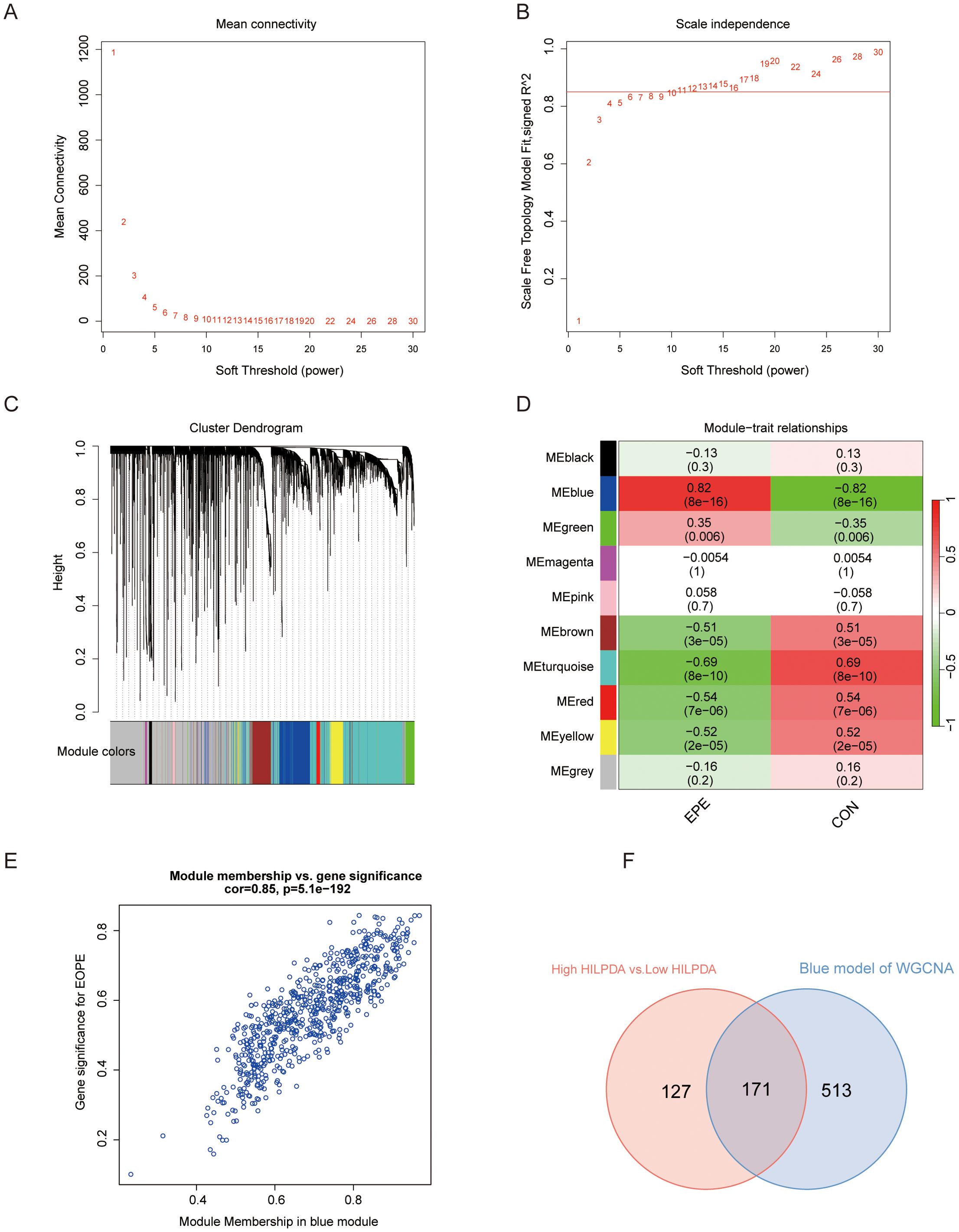 Graphical representation of network analysis results in six panels. Panel A shows a plot of mean connectivity versus soft threshold power, with a decreasing curve. Panel B displays scale independence as a function of soft threshold power, indicating an increasing trend. Panel C presents a cluster dendrogram with colored module bars representing different clusters. Panel D is a heatmap of module-trait relationships, with varying color intensities. Panel E is a scatter plot showing the correlation between module membership and gene significance. Panel F is a Venn diagram comparing genes associated with High HILPDA versus Low HILPDA and the blue model of WGCNA.
