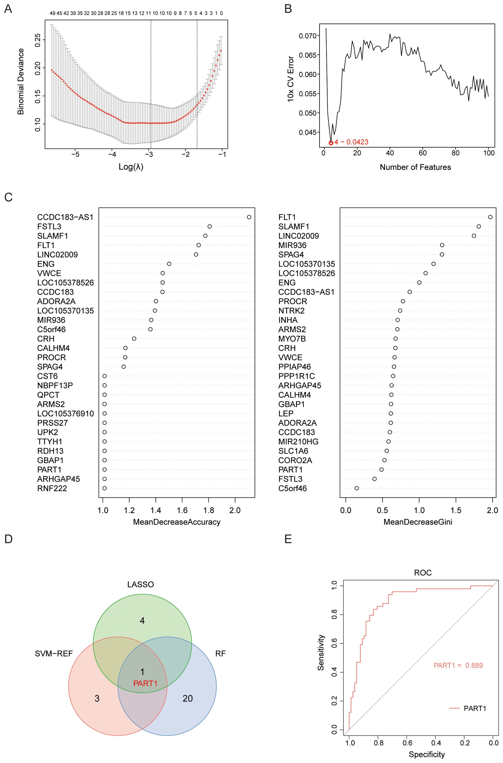 Image showing multiple charts used in data analysis: A) A line chart displaying binomial deviance against Log(λ) with error bars, showing a curve with a minimum point. B) A line graph showing tenfold cross-validation error against the number of features, highlighting a point at four features with an error of 0.0423. C) Two dot plots, one for Mean Decrease Accuracy and one for Mean Decrease Gini, listing features with individual scores. D) A Venn diagram illustrating the overlap of selected features among LASSO, SVM-RFE, and RF, highlighting one feature (PART1) common to all. E) A ROC curve displaying sensitivity versus specificity for PART1, achieving an area under the curve of 0.889.